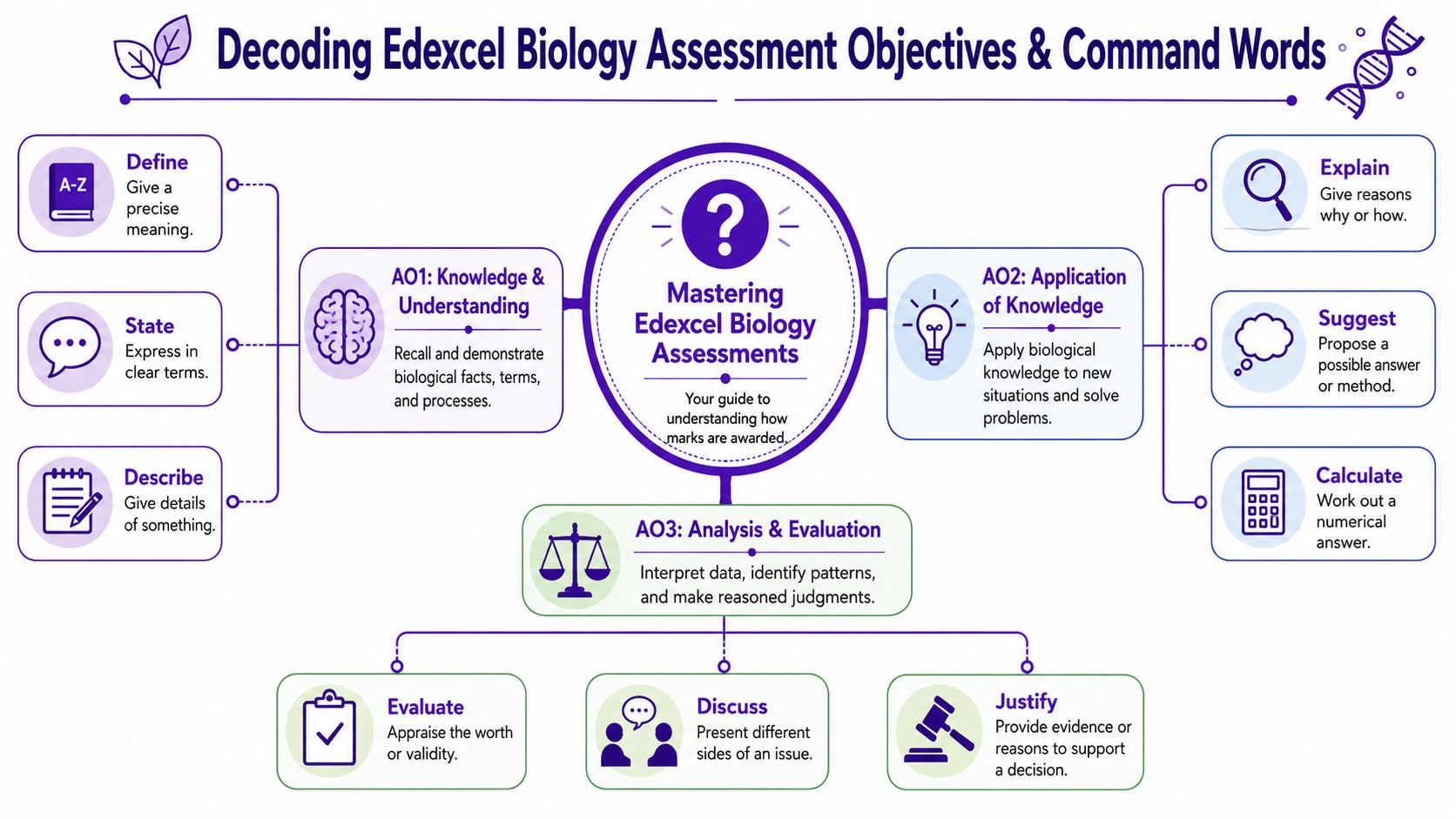 An educational infographic decoding Edexcel Biology assessment objectives and command words for exam success.