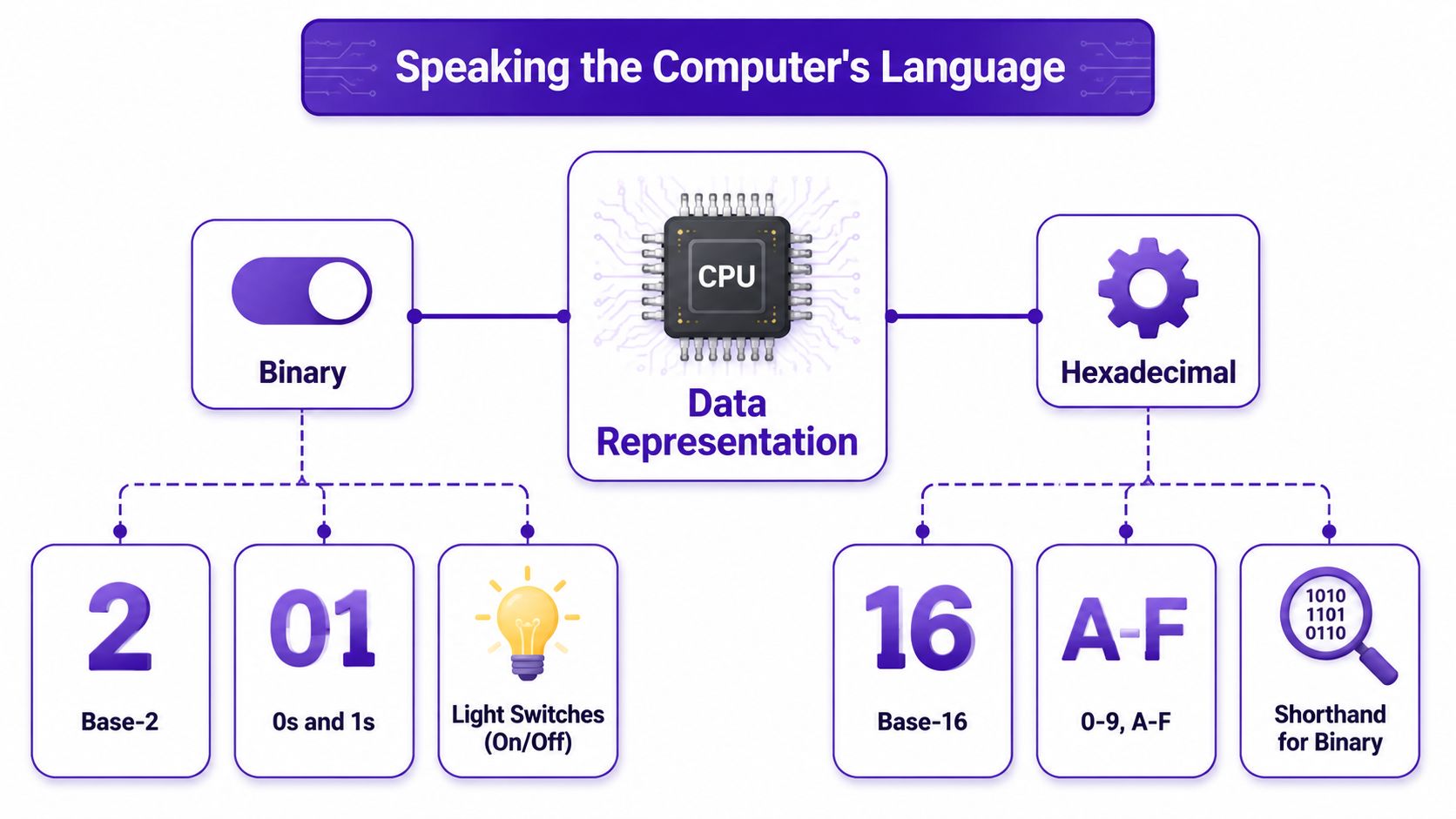 A diagram illustrating data representation through binary and hexadecimal systems for computer architecture and language processing.