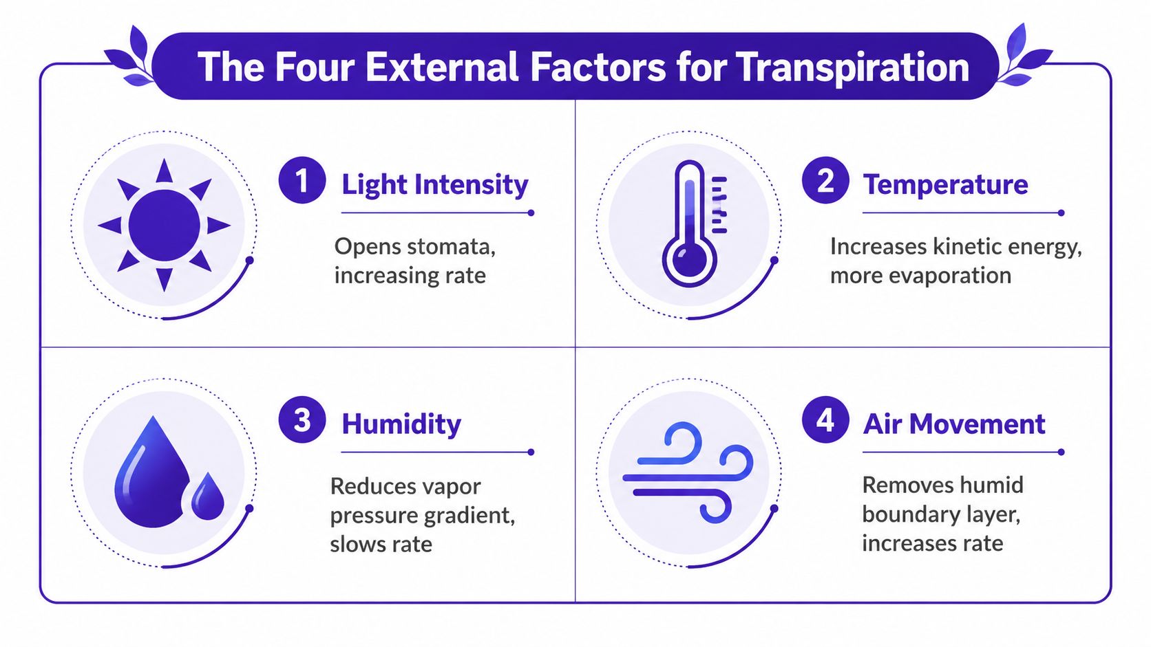 An infographic illustrating the four main external factors that influence the rate of plant transpiration.