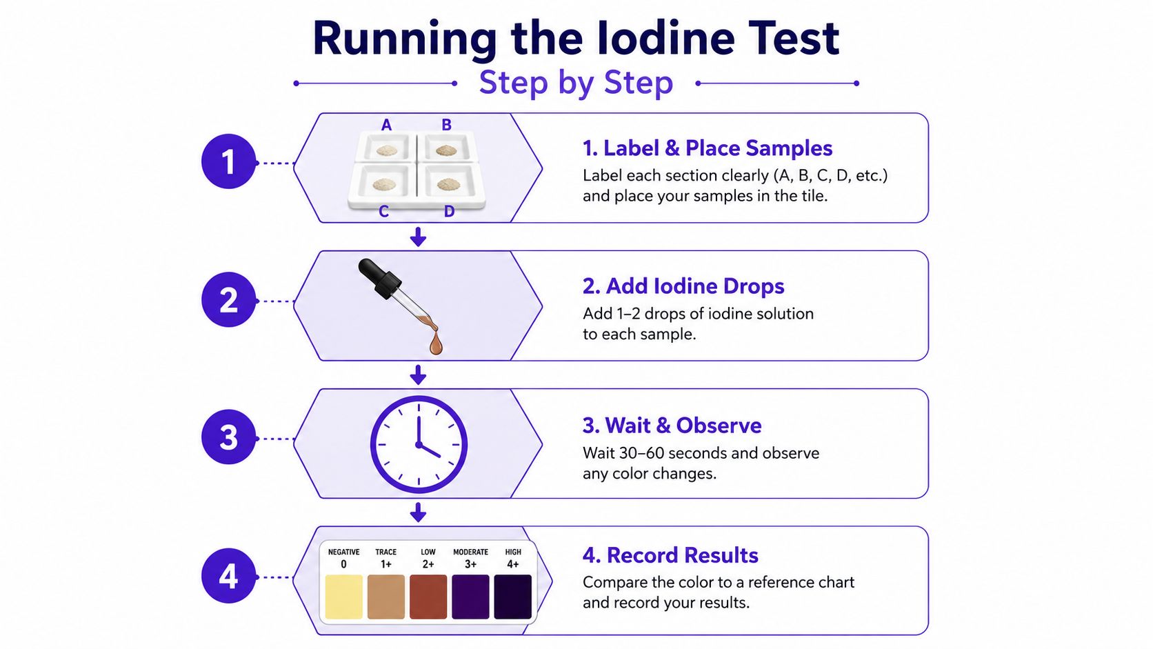 An infographic showing the step-by-step procedure for performing a starch iodine test on food samples.