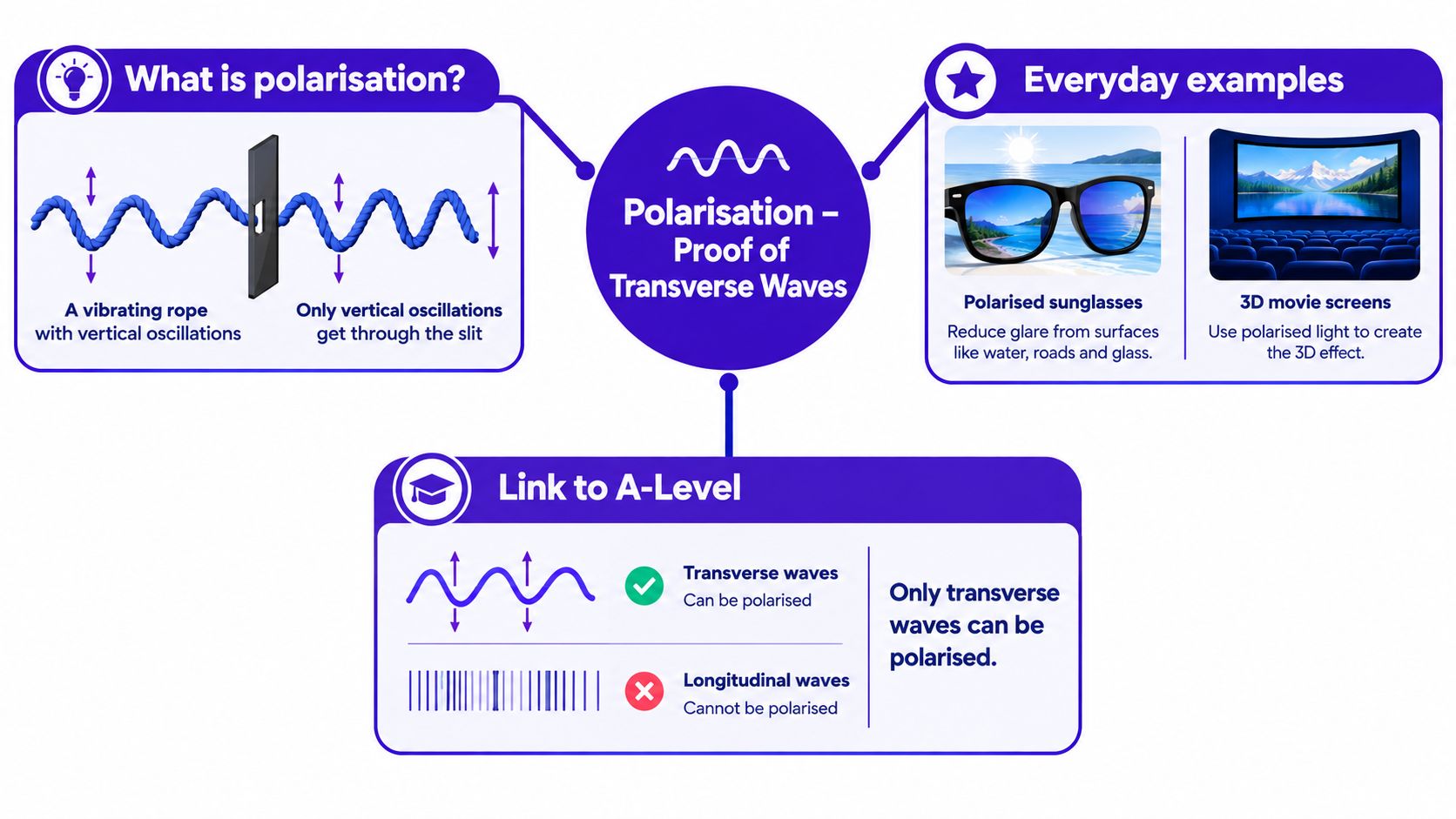 A diagram explaining the physics of polarisation, distinguishing between transverse and longitudinal wave properties with examples.