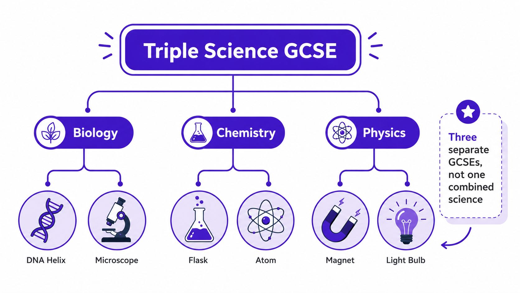 A diagram illustrating the Triple Science GCSE structure, showing three separate subjects: Biology, Chemistry, and Physics.