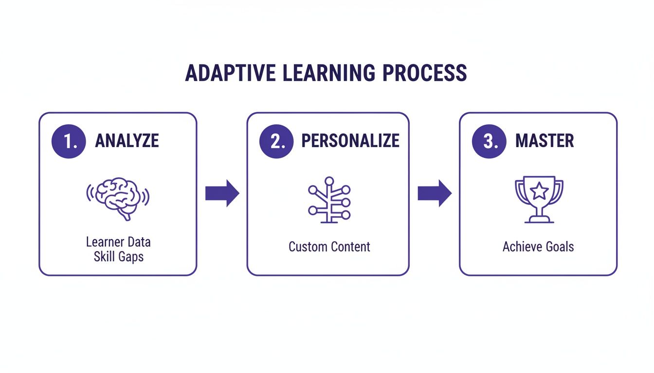 Diagram illustrating the adaptive learning process with three steps: analyze, personalize, and master.