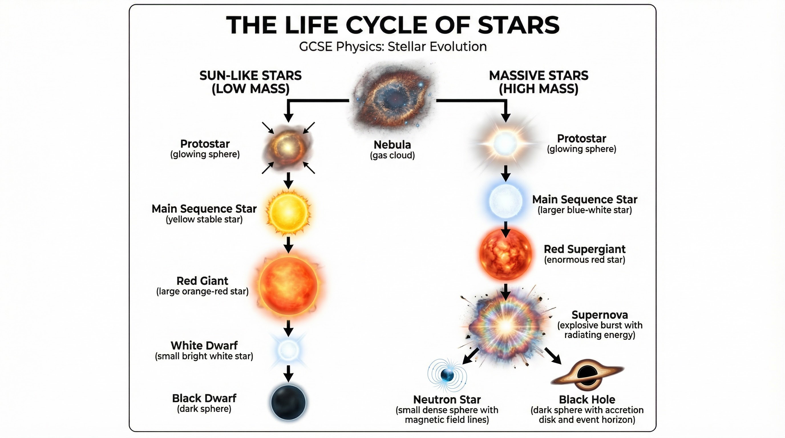 The life cycle of stars, from nebula to their final stages.