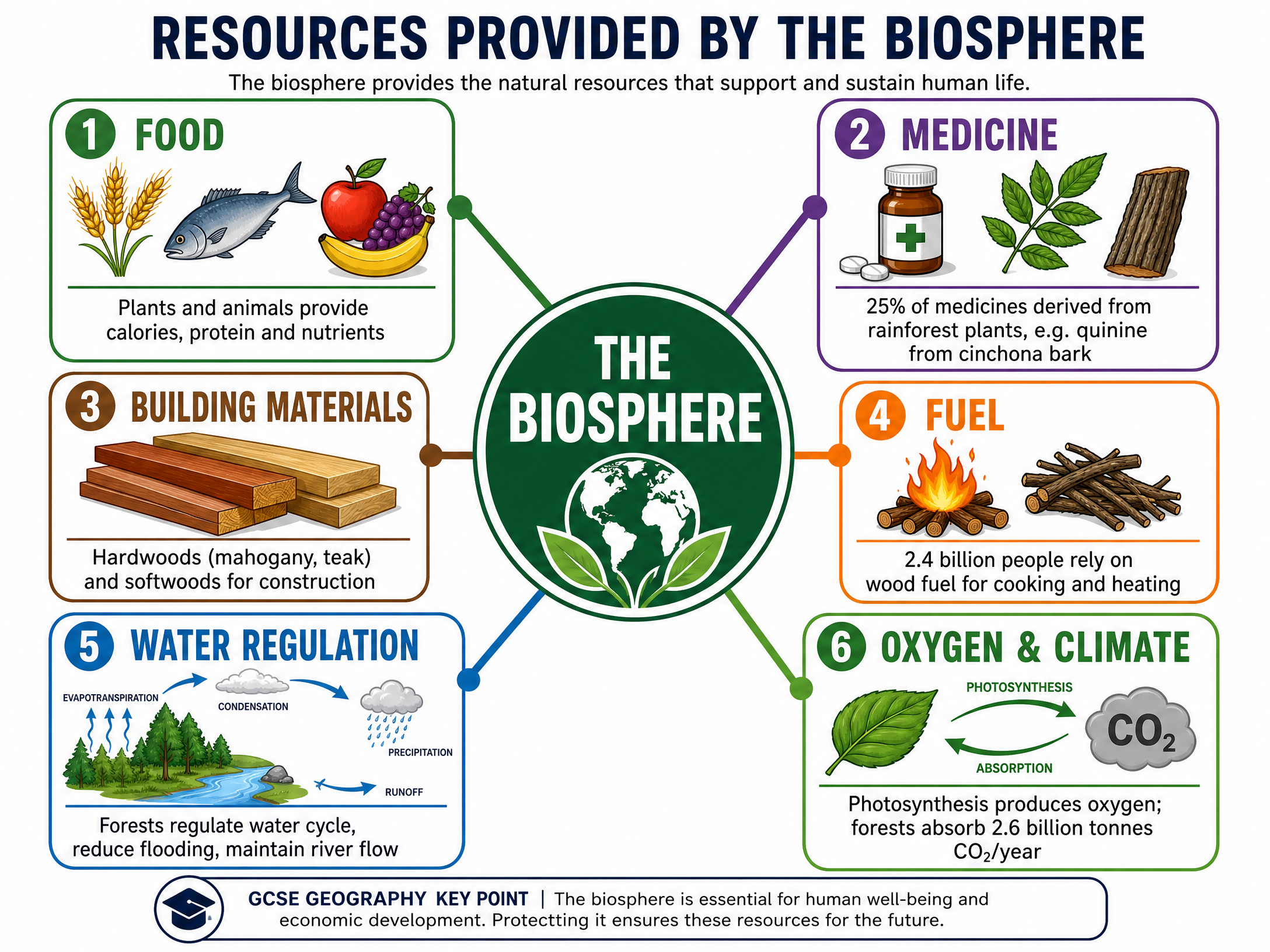 Resources Provided by the Biosphere