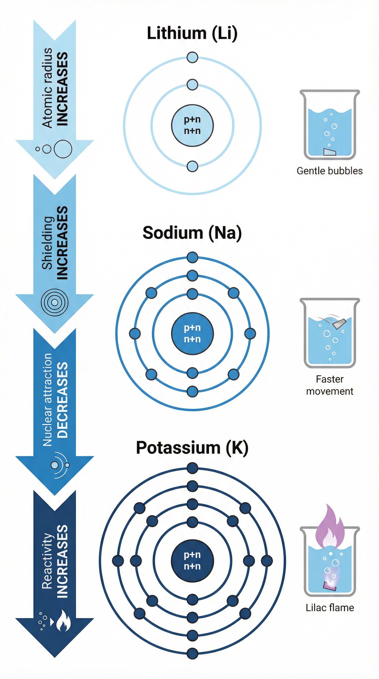 Diagram explaining the increase in reactivity down Group 1.