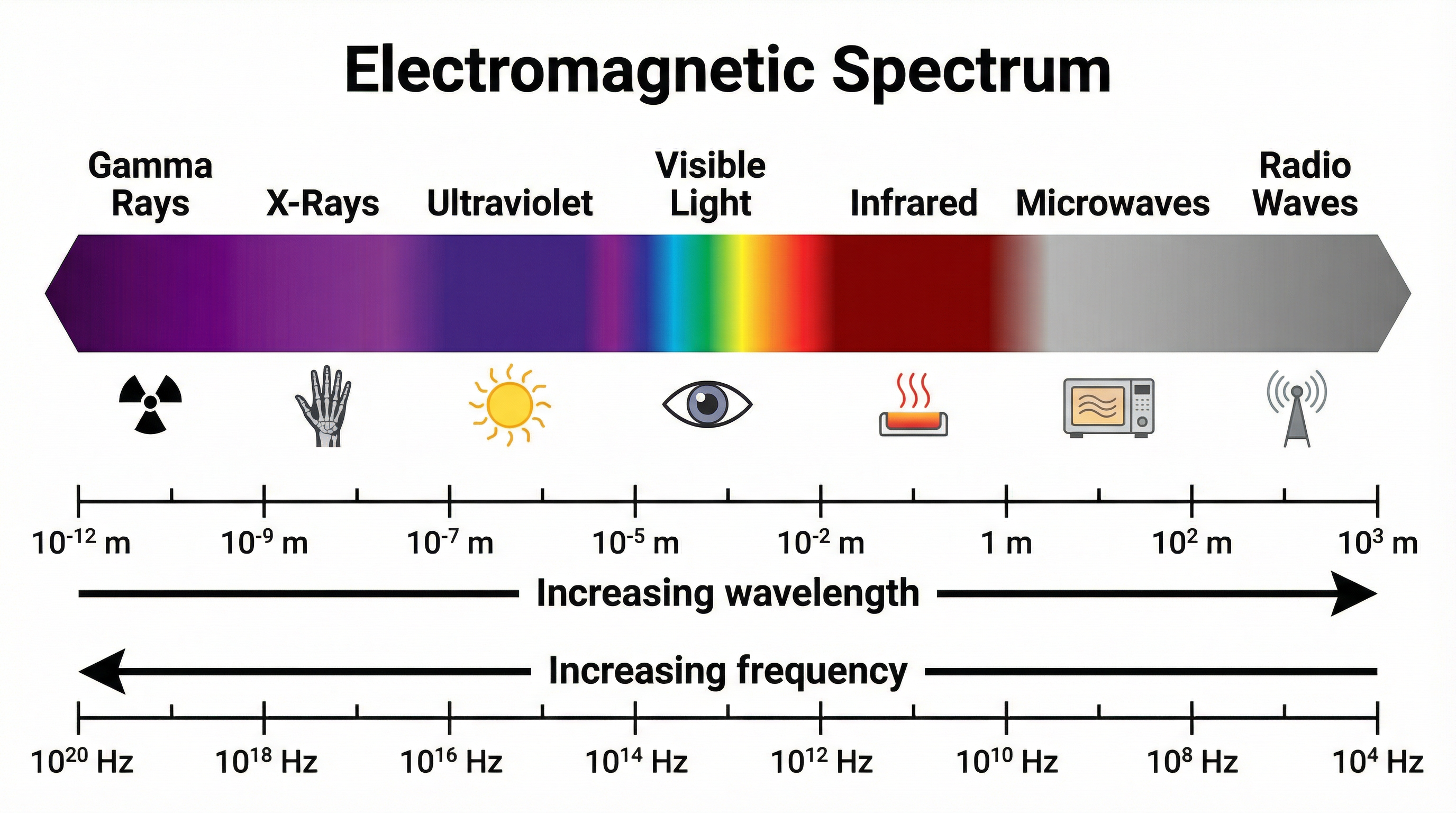 The Electromagnetic Spectrum