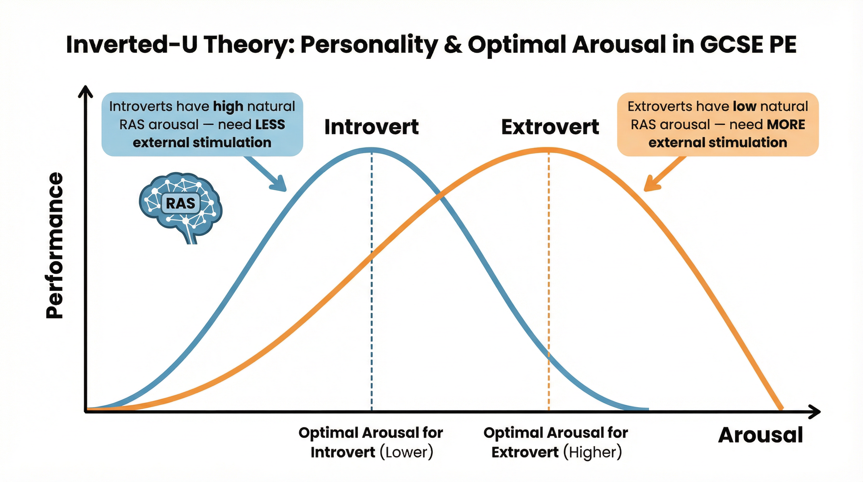 Diagram showing the influence of personality on optimal arousal.