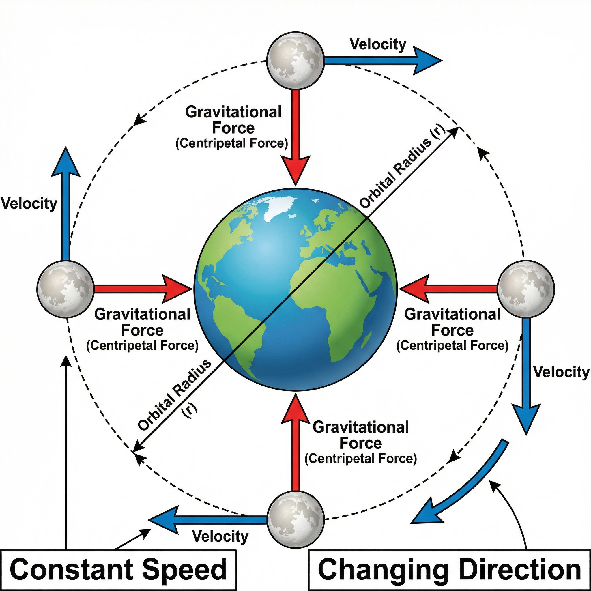 Circular orbital motion showing constant speed, changing velocity, and centripetal force