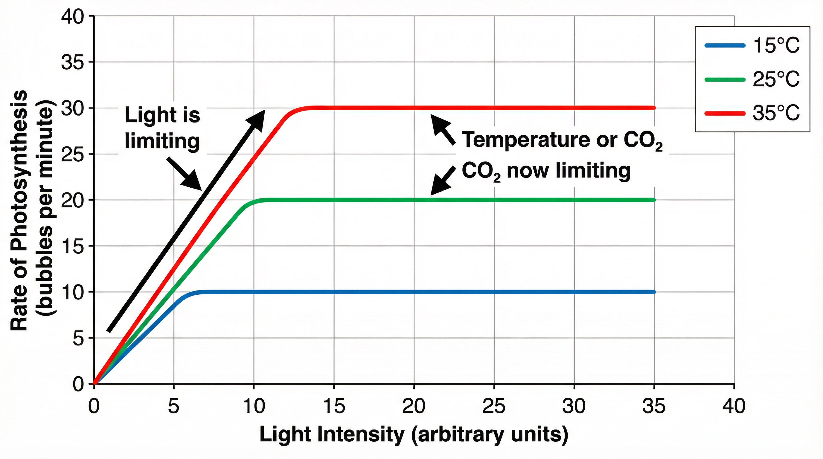 Graph showing the effect of light intensity on the rate of photosynthesis at different temperatures.