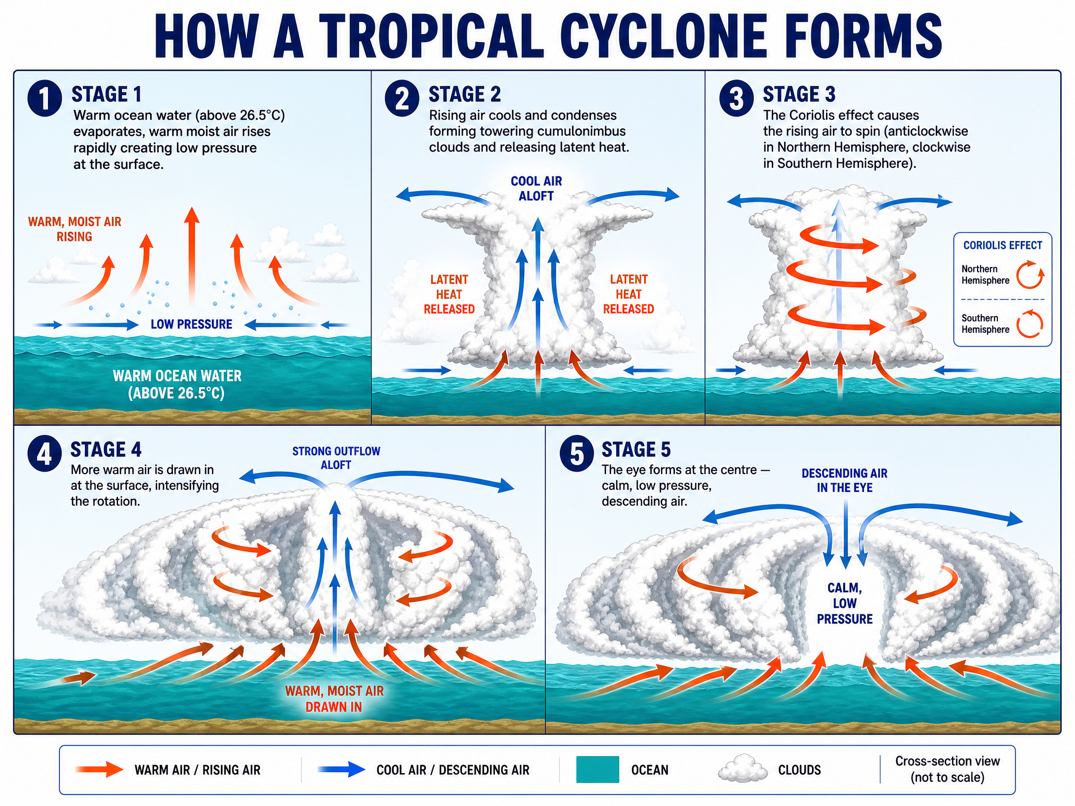 How a Tropical Cyclone Forms