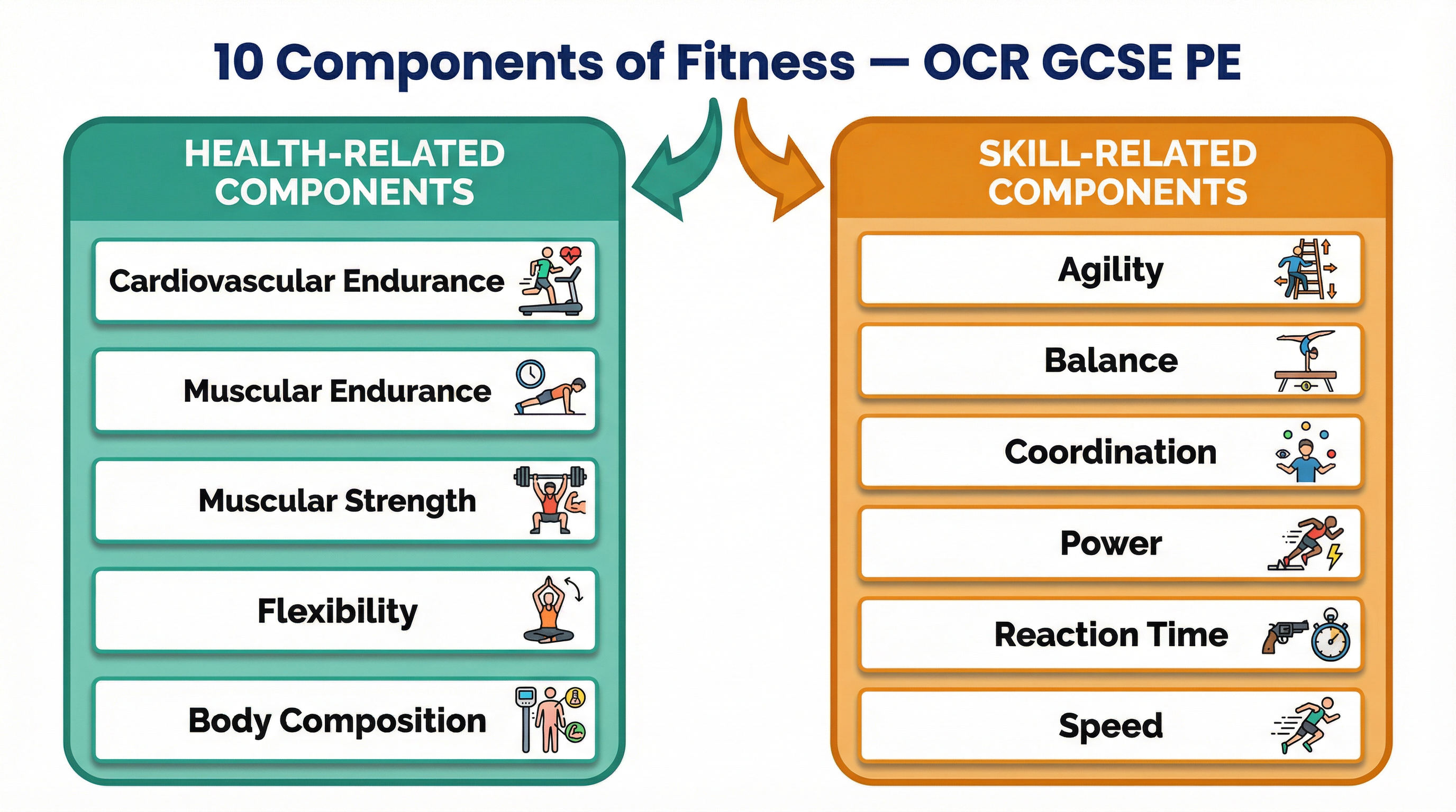 The two categories of fitness: Health-Related and Skill-Related.
