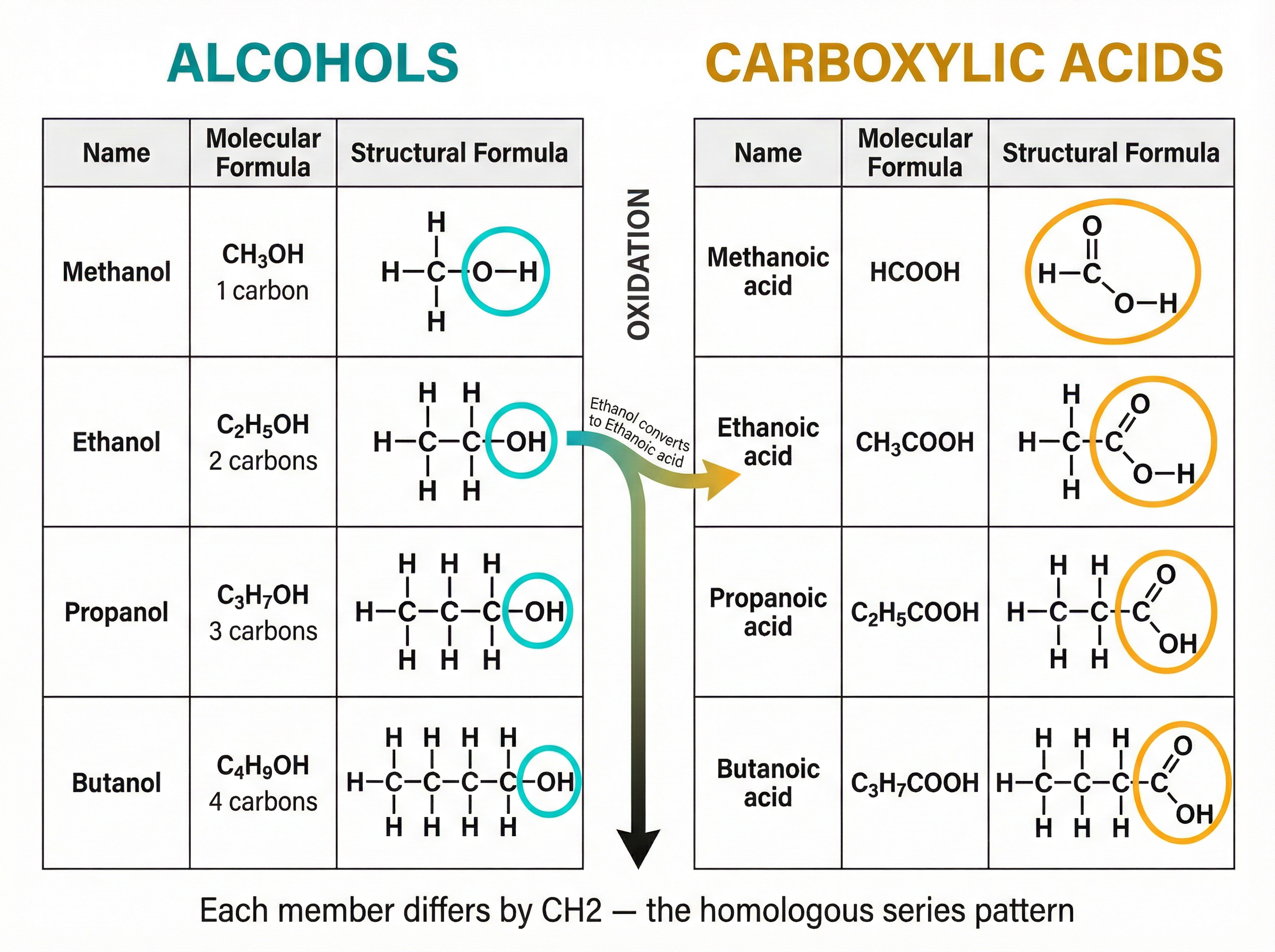 Homologous series comparison