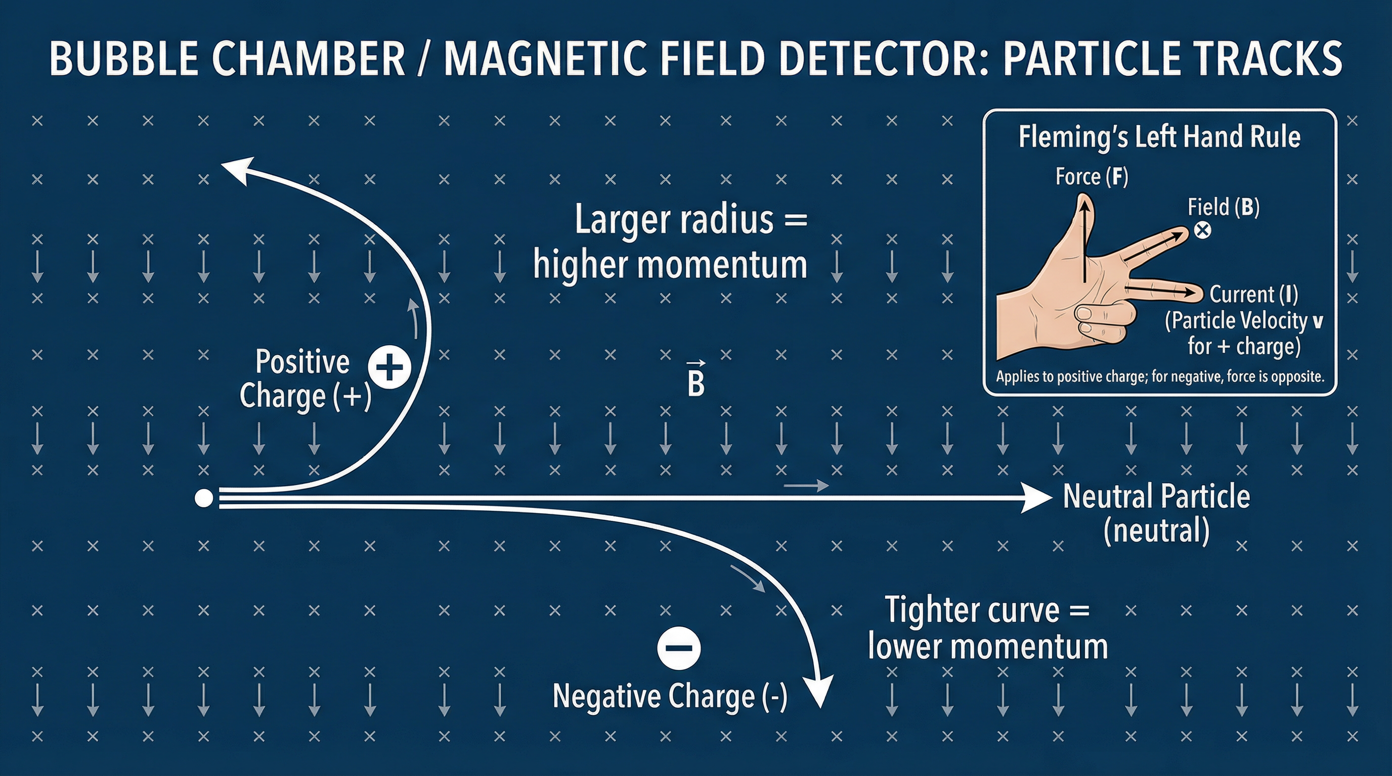 Particle tracks in a magnetic field