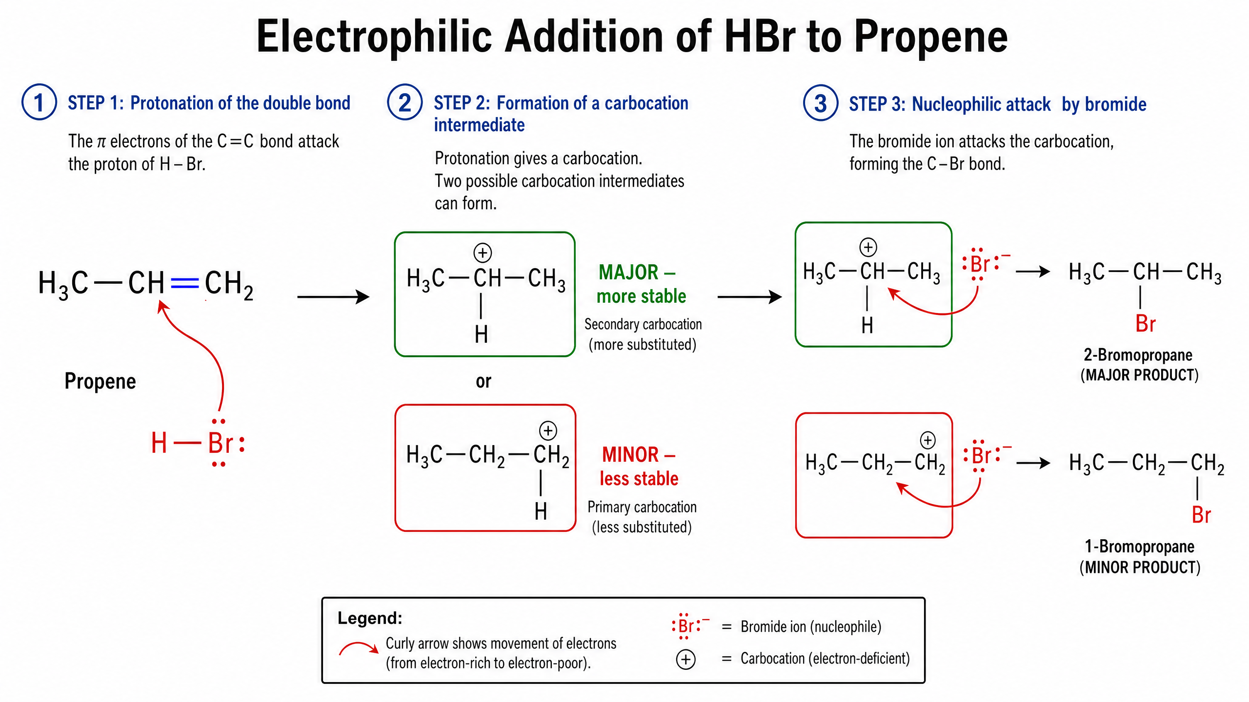 Electrophilic Addition of HBr to Propene