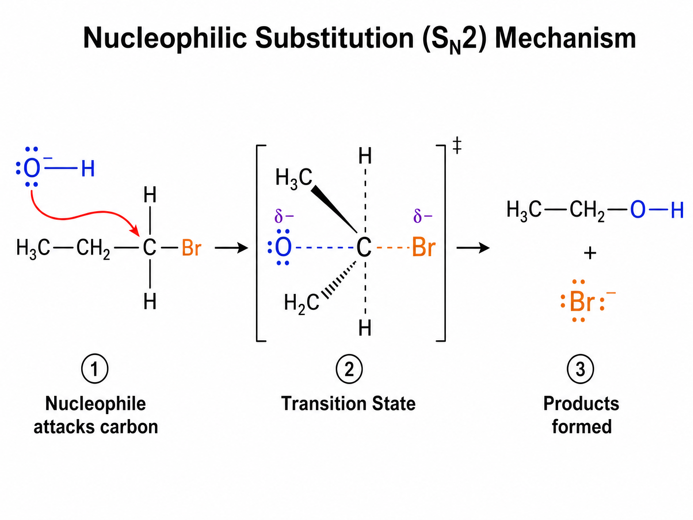 Nucleophilic Substitution Mechanism