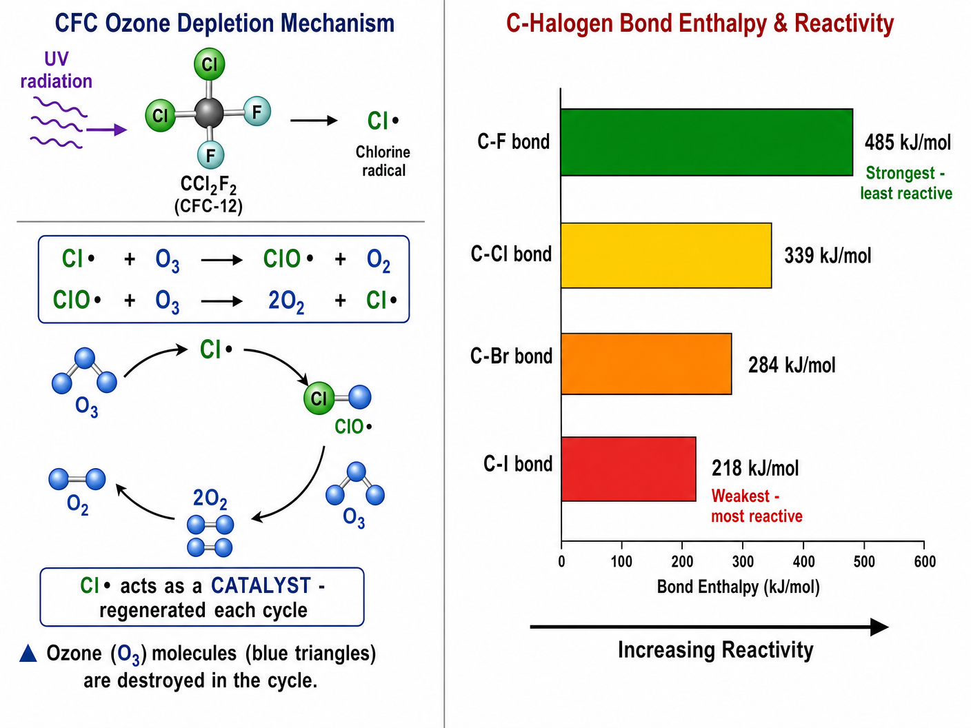 Ozone Depletion and Reactivity Trends