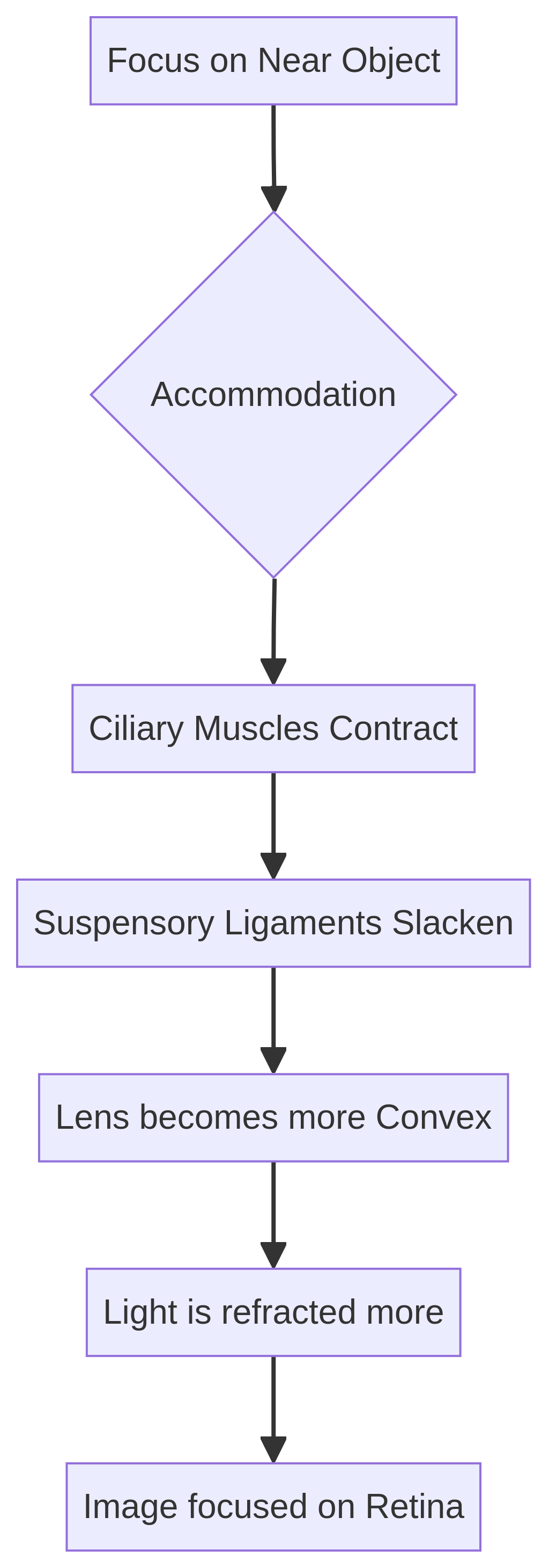 Flowchart of accommodation.