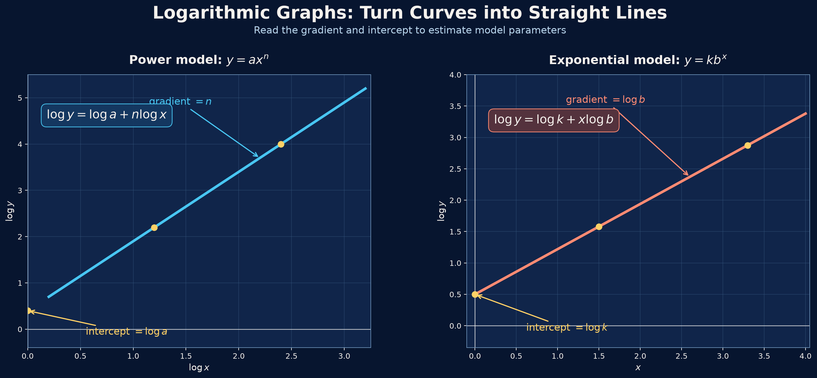 Use the axes to decide whether gradient identifies \(n\) or \(\log b\).