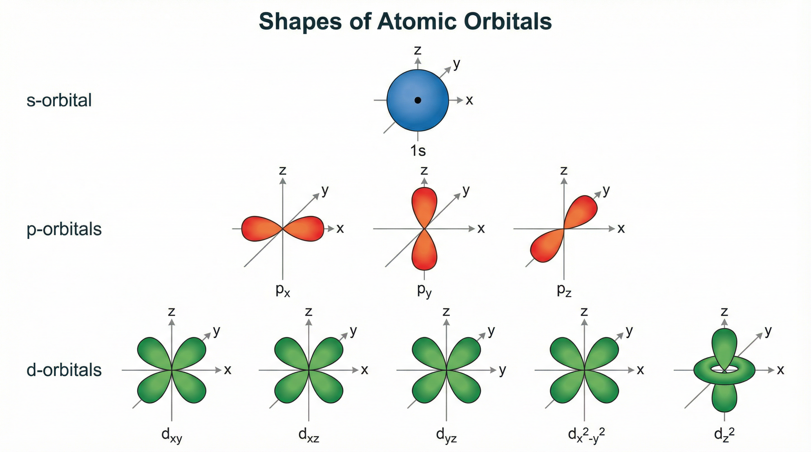 The shapes of s, p, and d atomic orbitals.