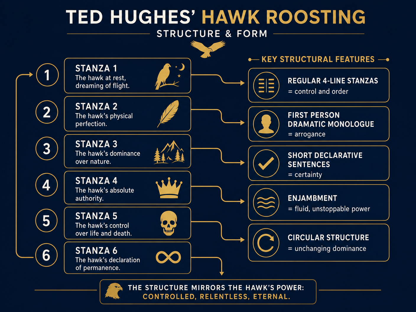 Structure and Form of Hawk Roosting