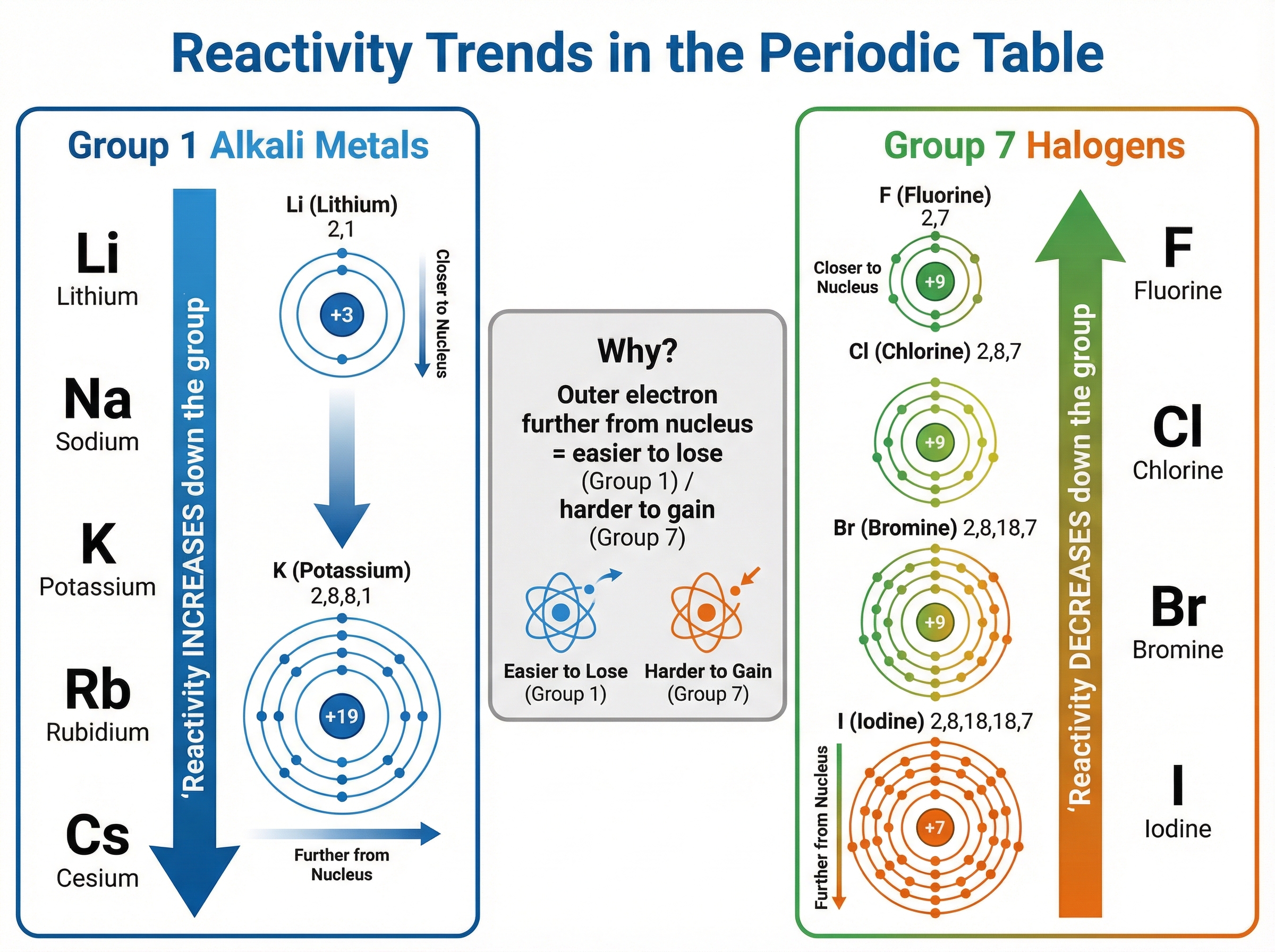 Reactivity Trends in Groups 1 and 7