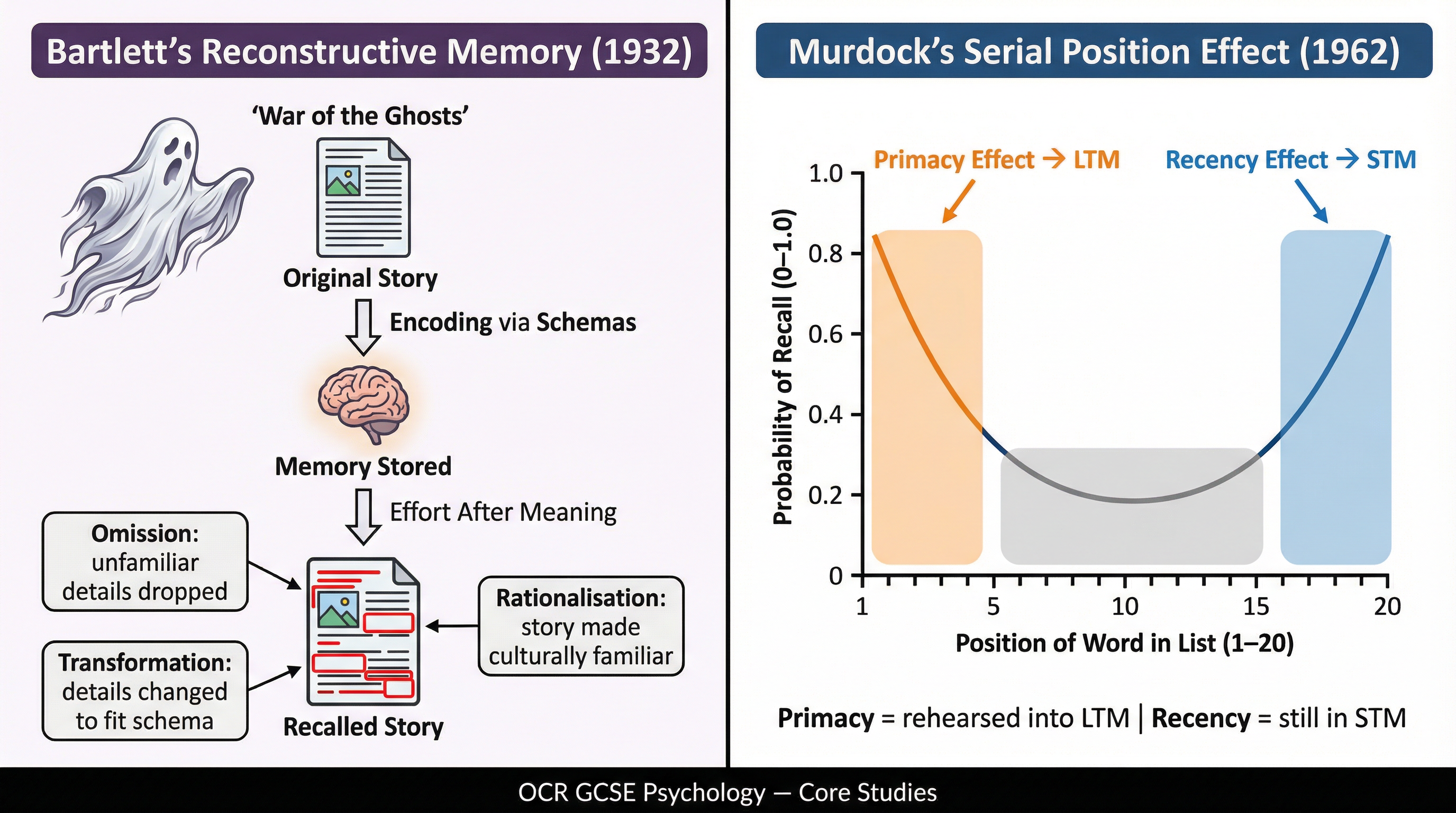 Contrasting the reconstructive nature of memory with evidence for separate memory stores.