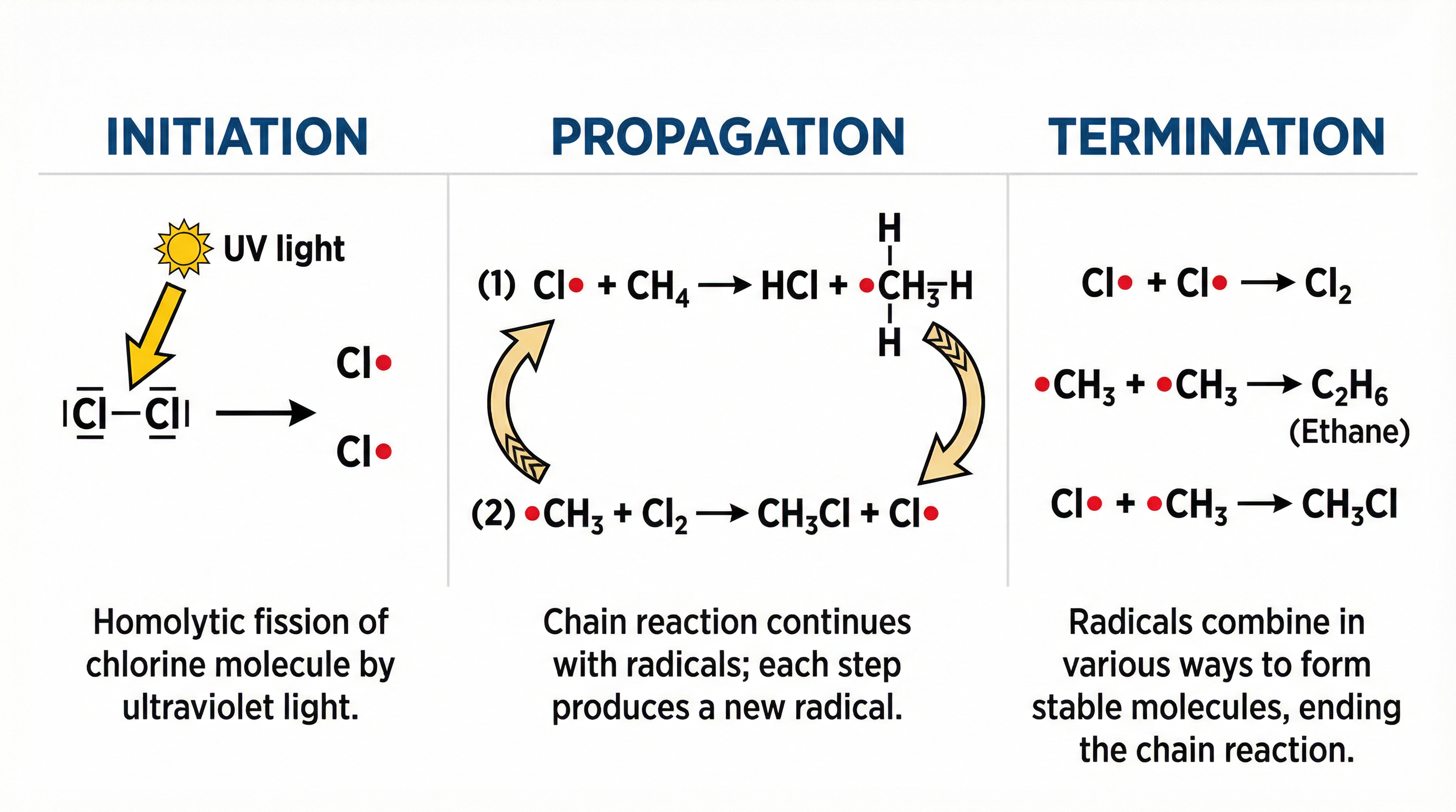 The mechanism of free-radical substitution.