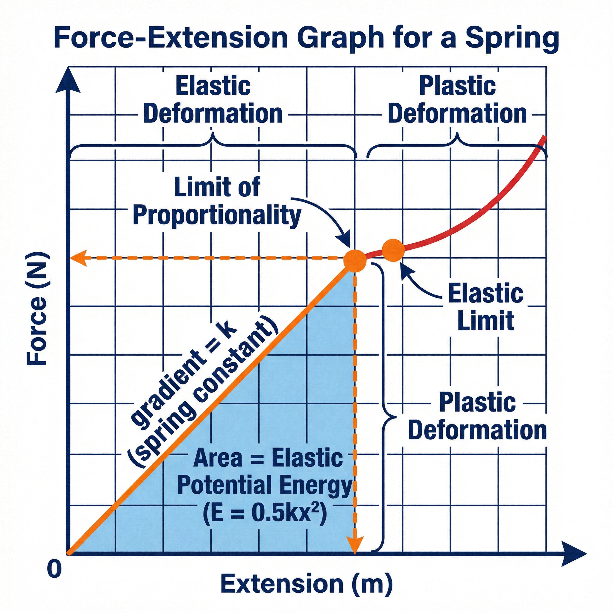 A detailed force-extension graph showing key features like the limit of proportionality and the area representing elastic potential energy.