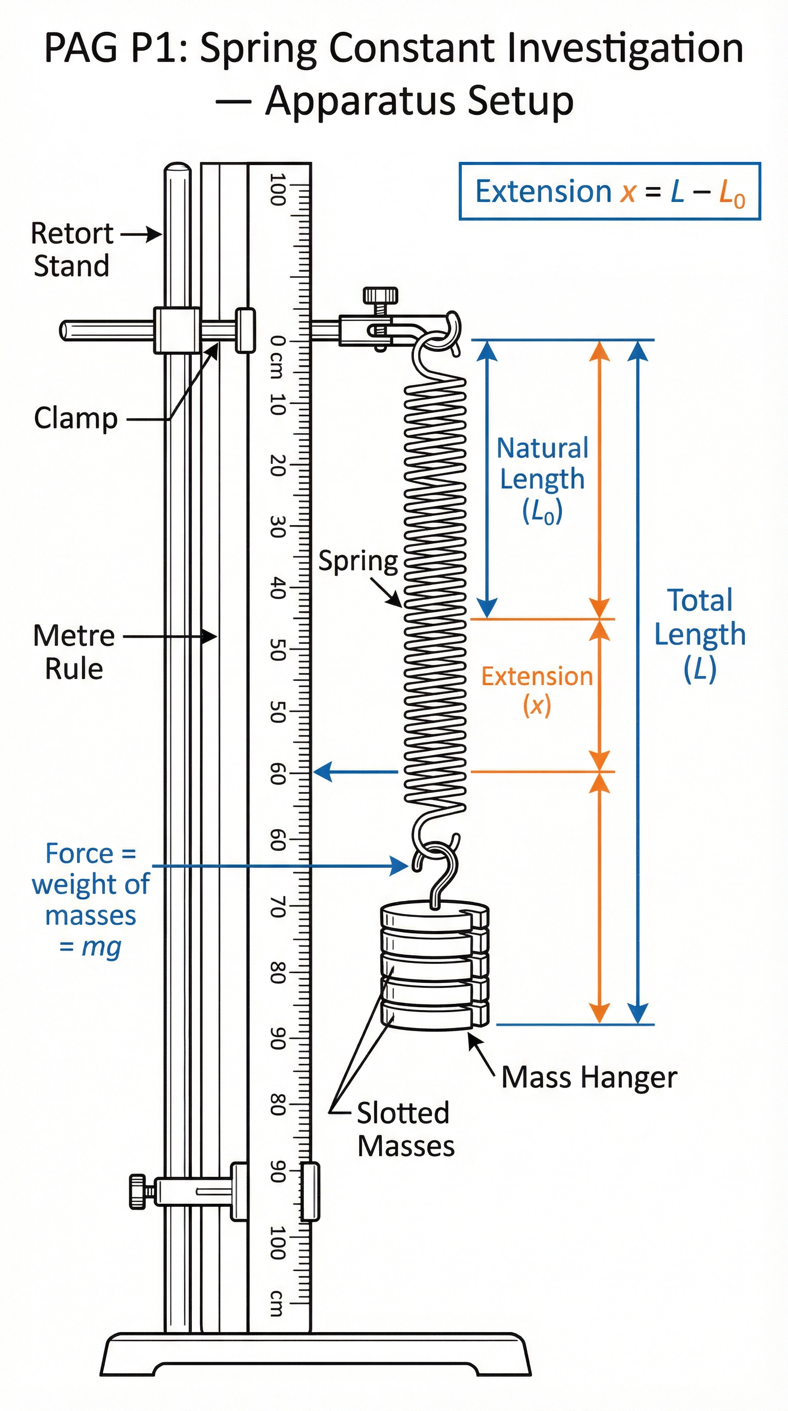 The standard apparatus setup for investigating the relationship between force and extension in a spring (PAG P1).