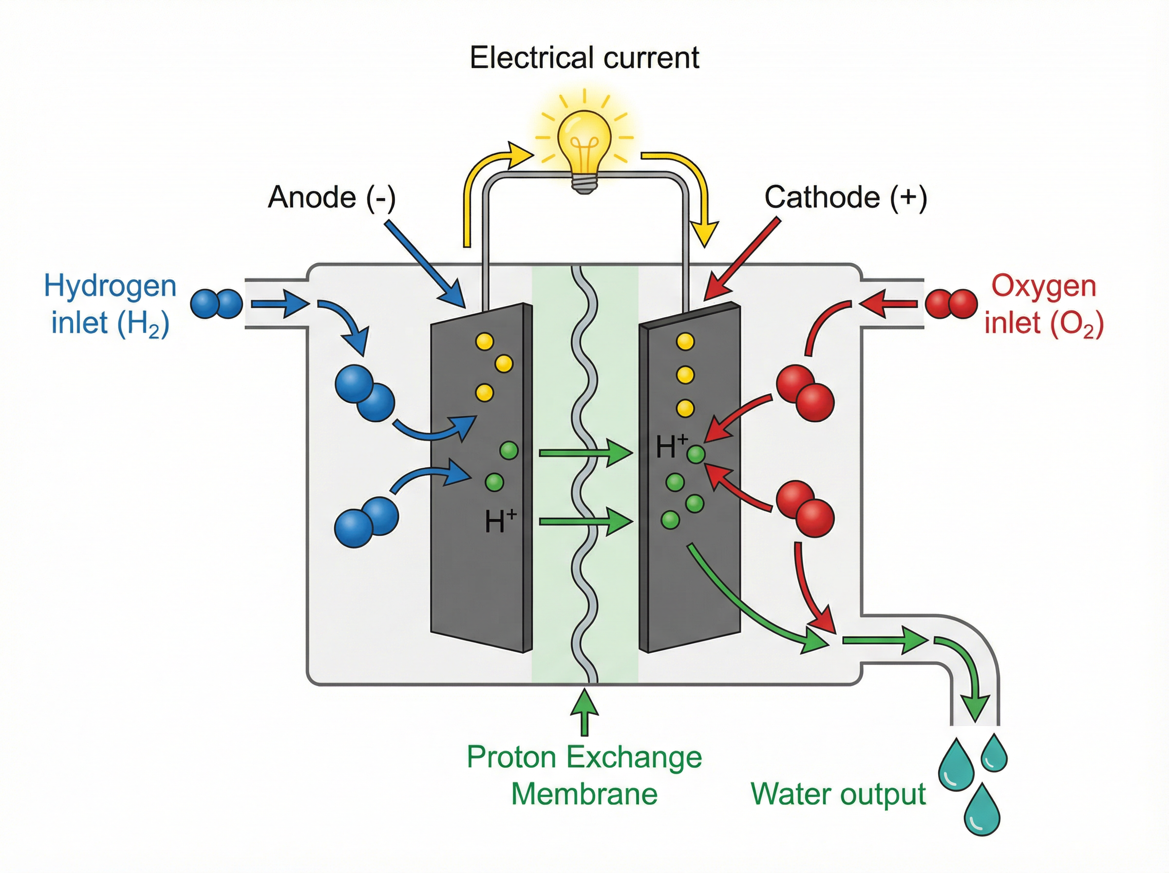 How a Hydrogen Fuel Cell Works