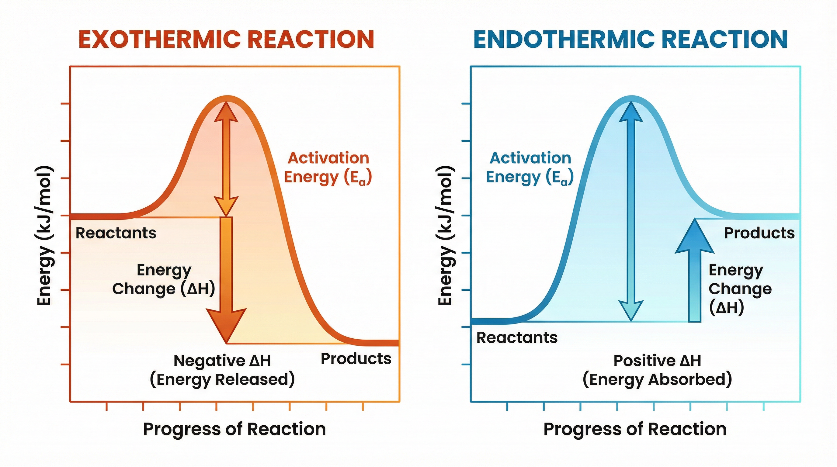 Exothermic vs Endothermic Reaction Profiles