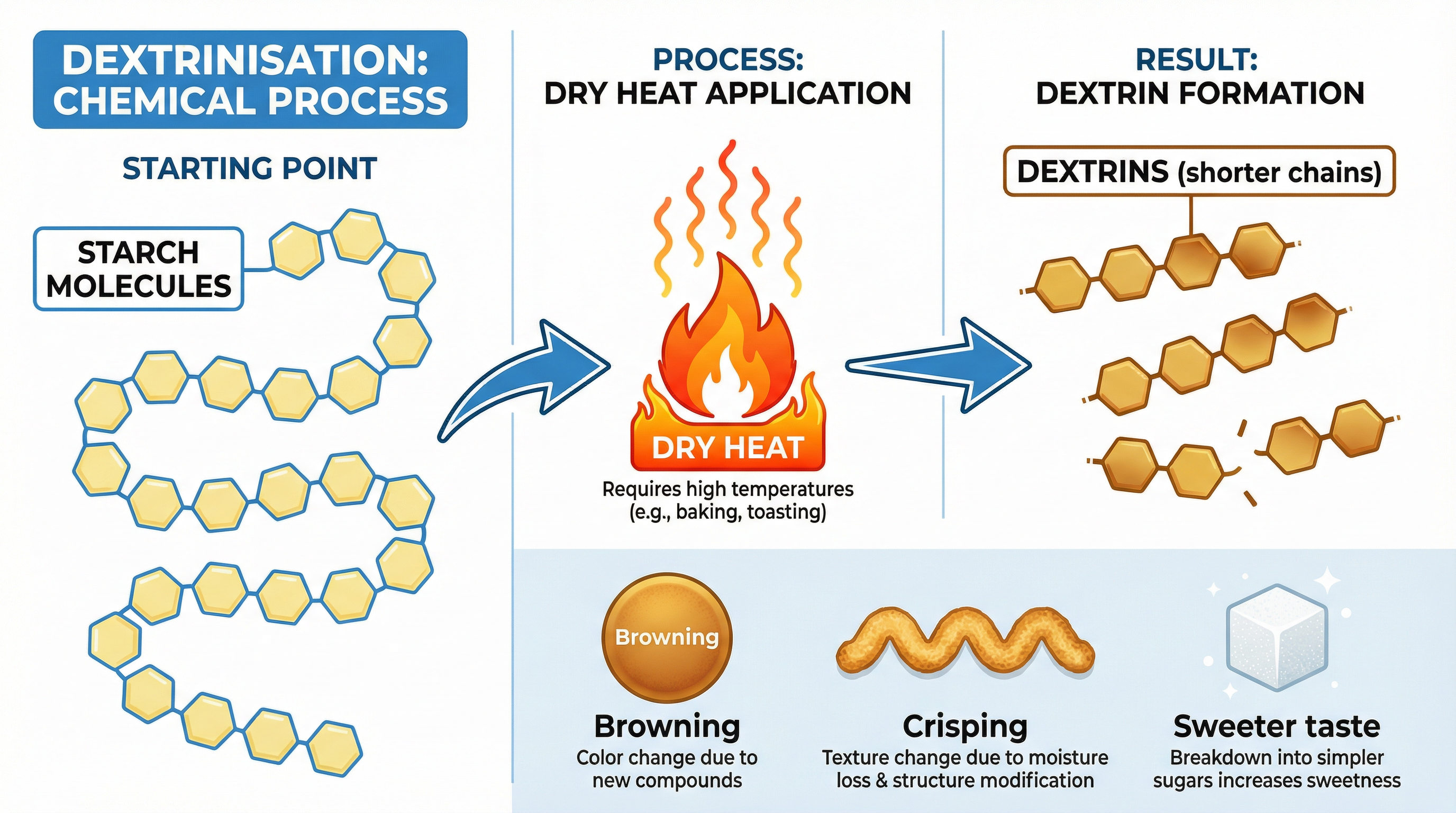 The chemical process of dextrinisation.