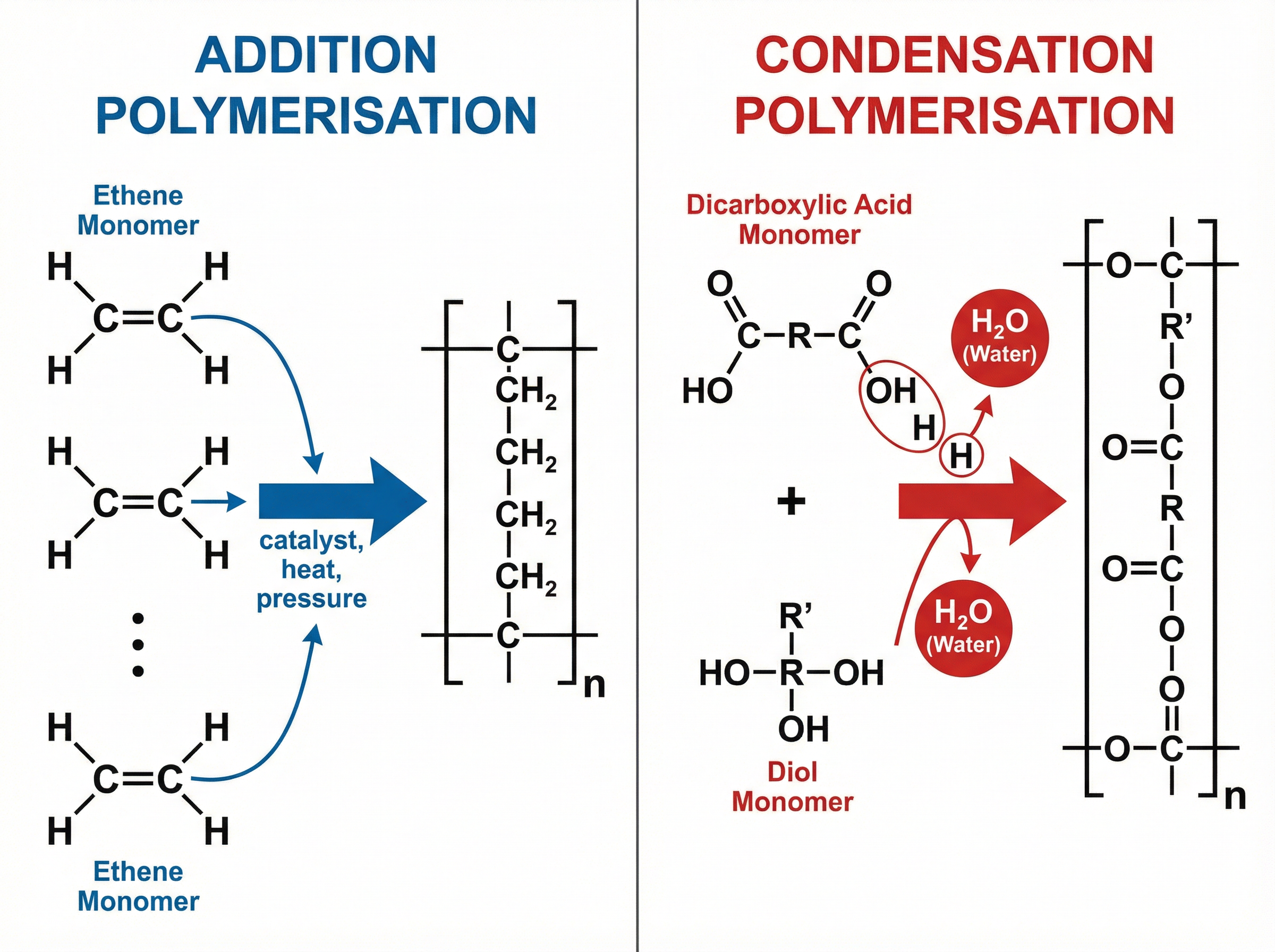 Comparison of Addition and Condensation Polymerisation.