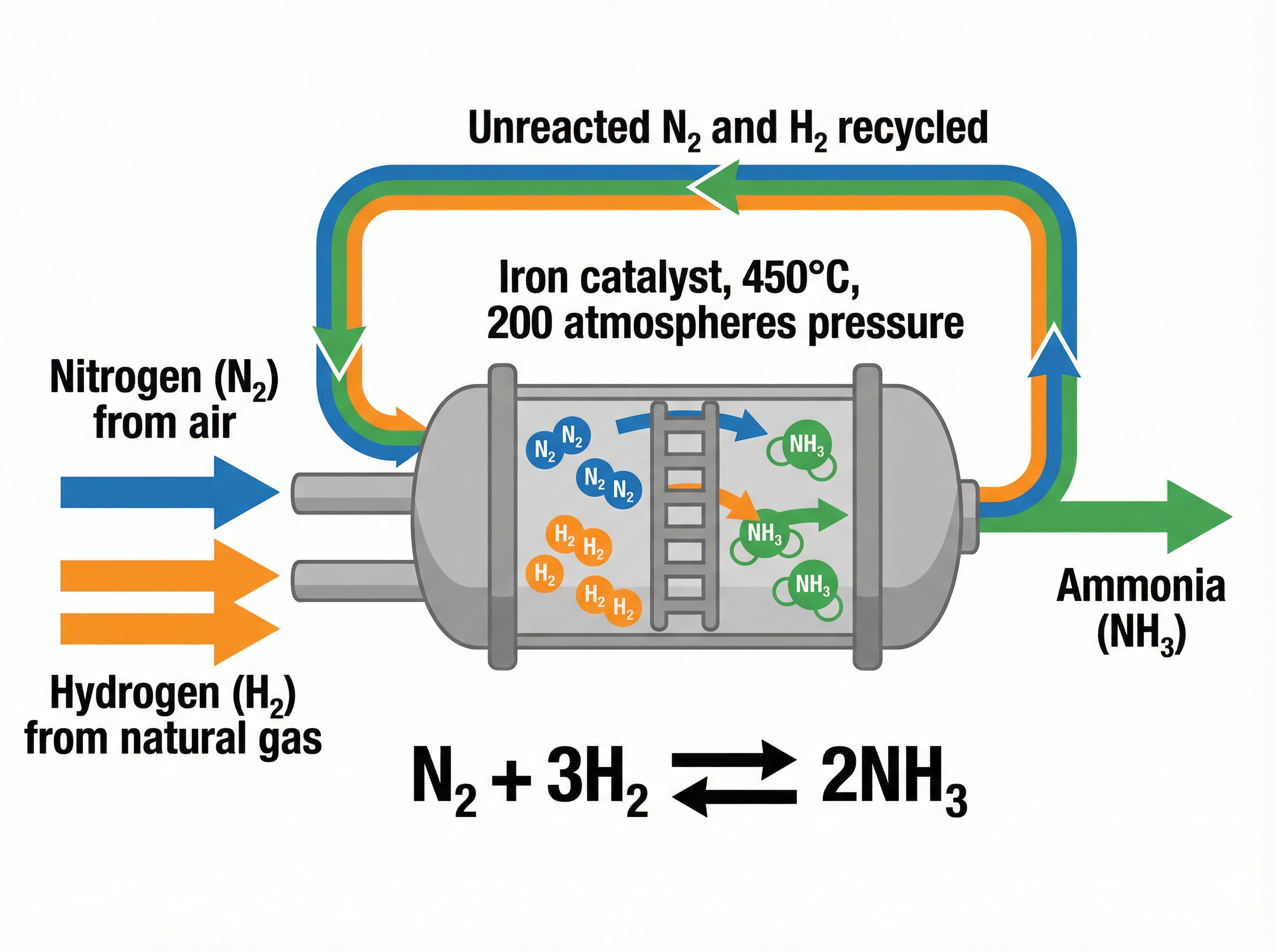 The Industrial Haber Process