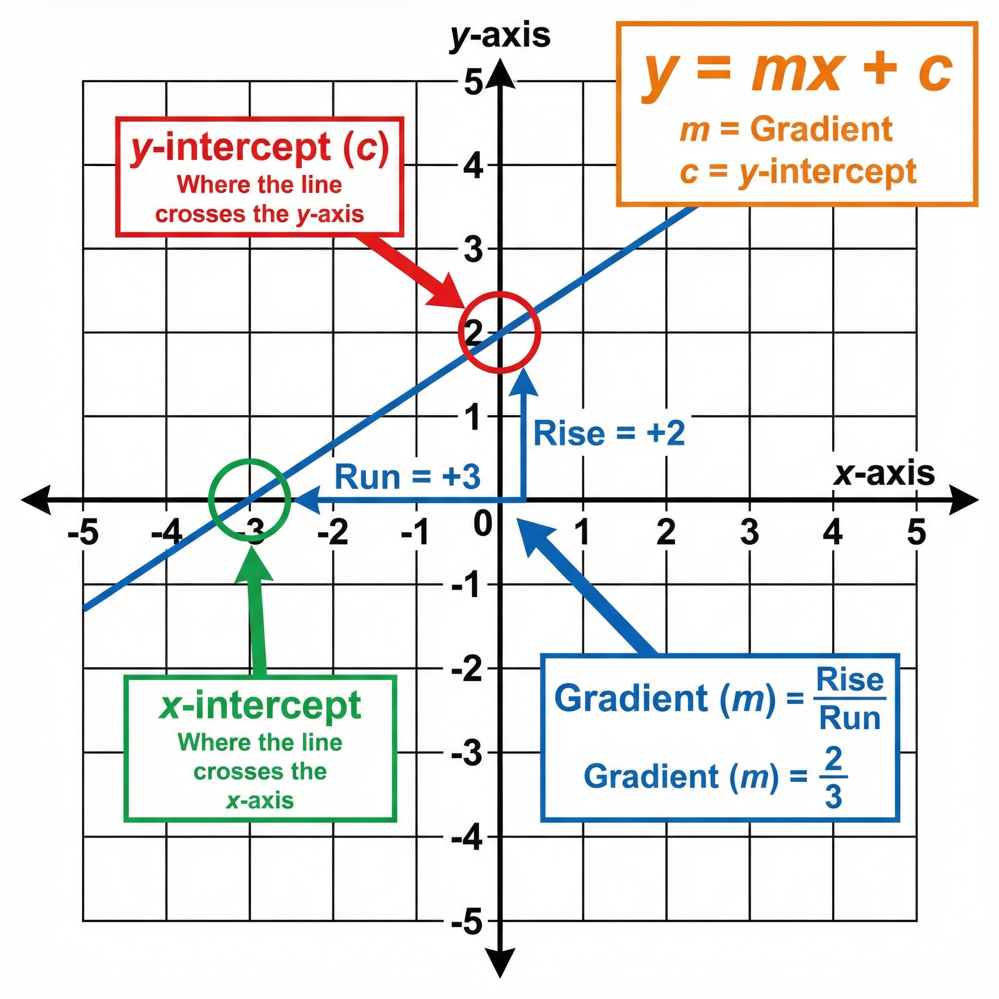 The Anatomy of a Linear Graph