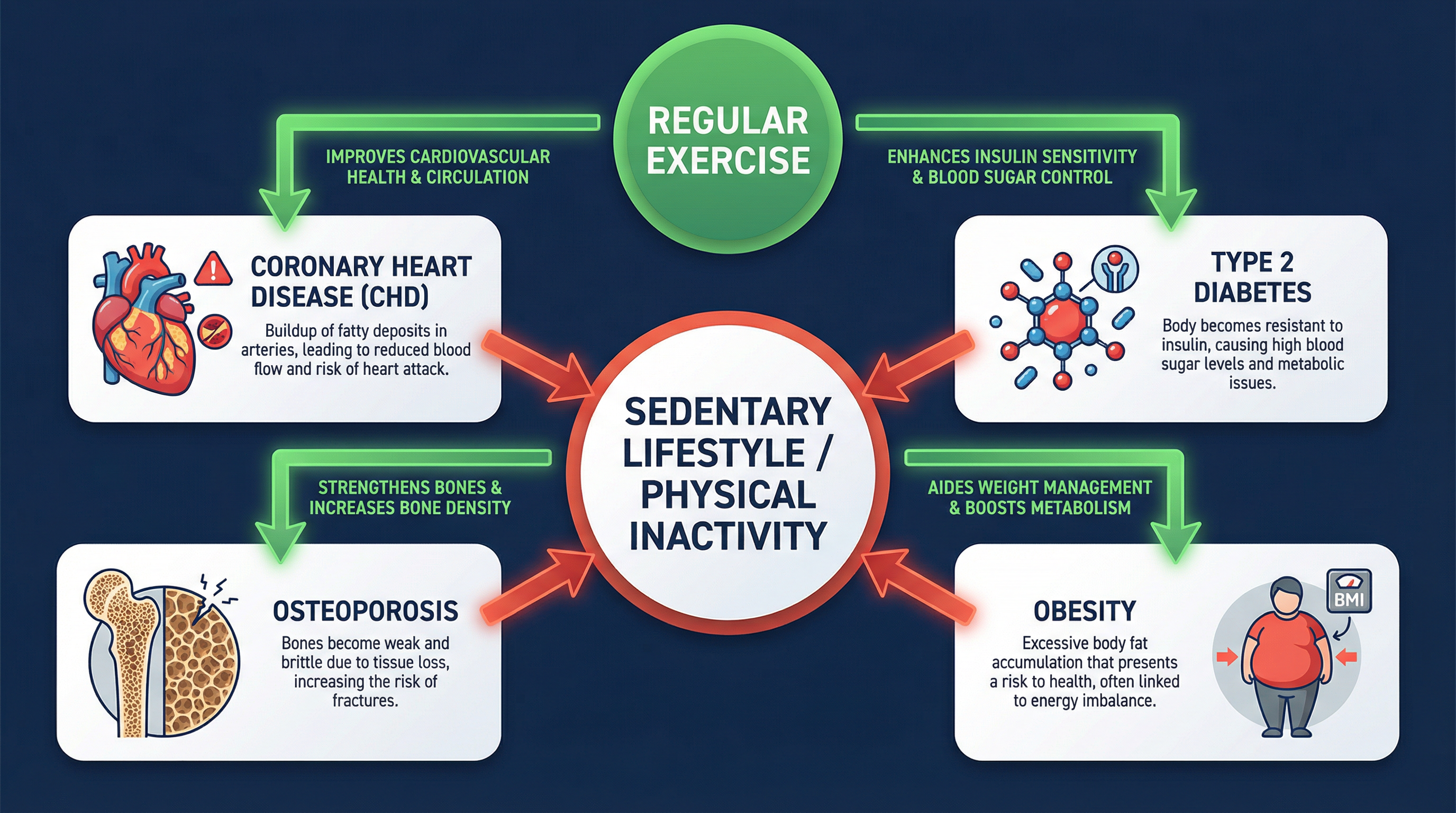 The impact of exercise on preventing common hypokinetic diseases.