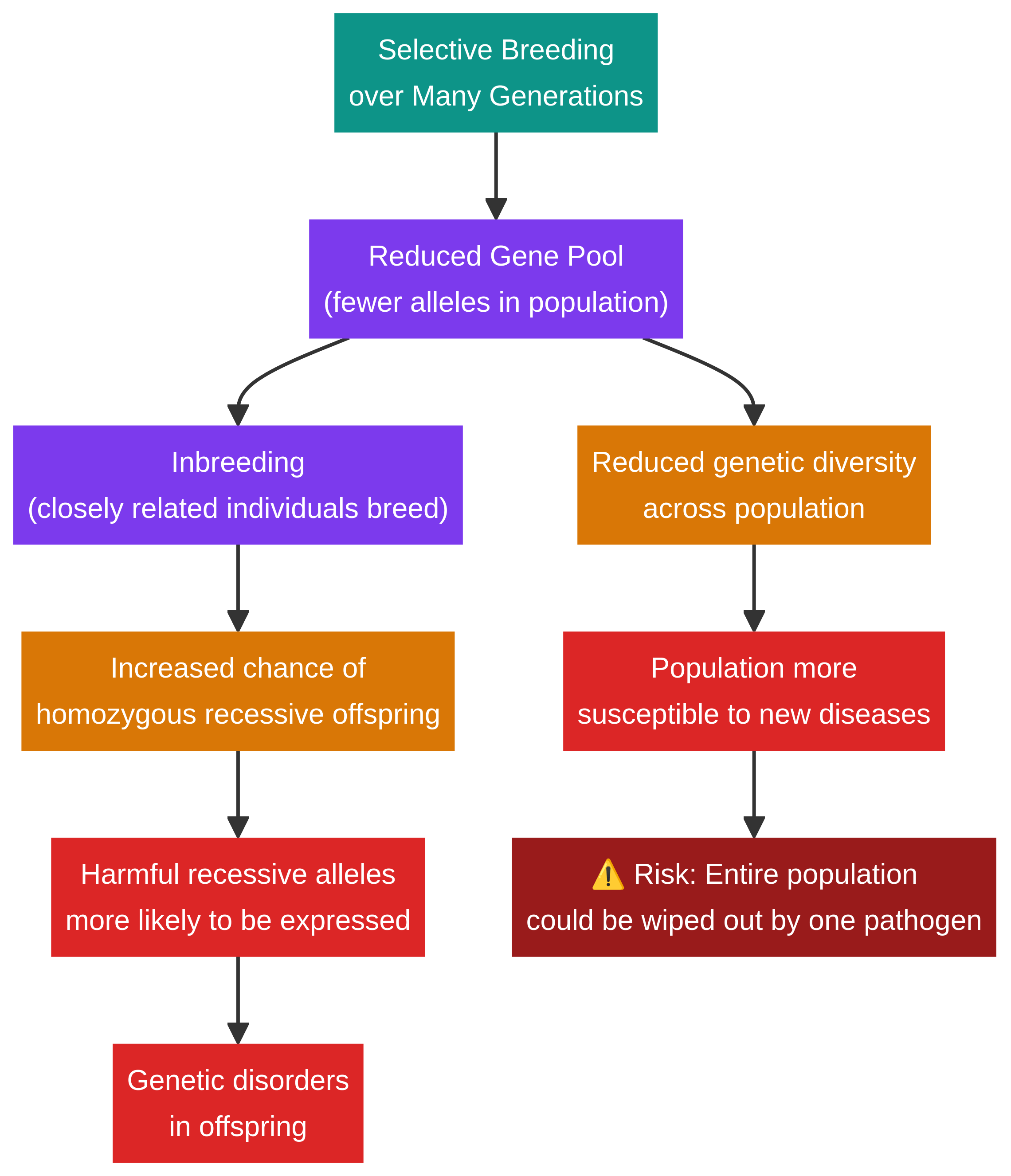 Concept map of the risks of selective breeding.