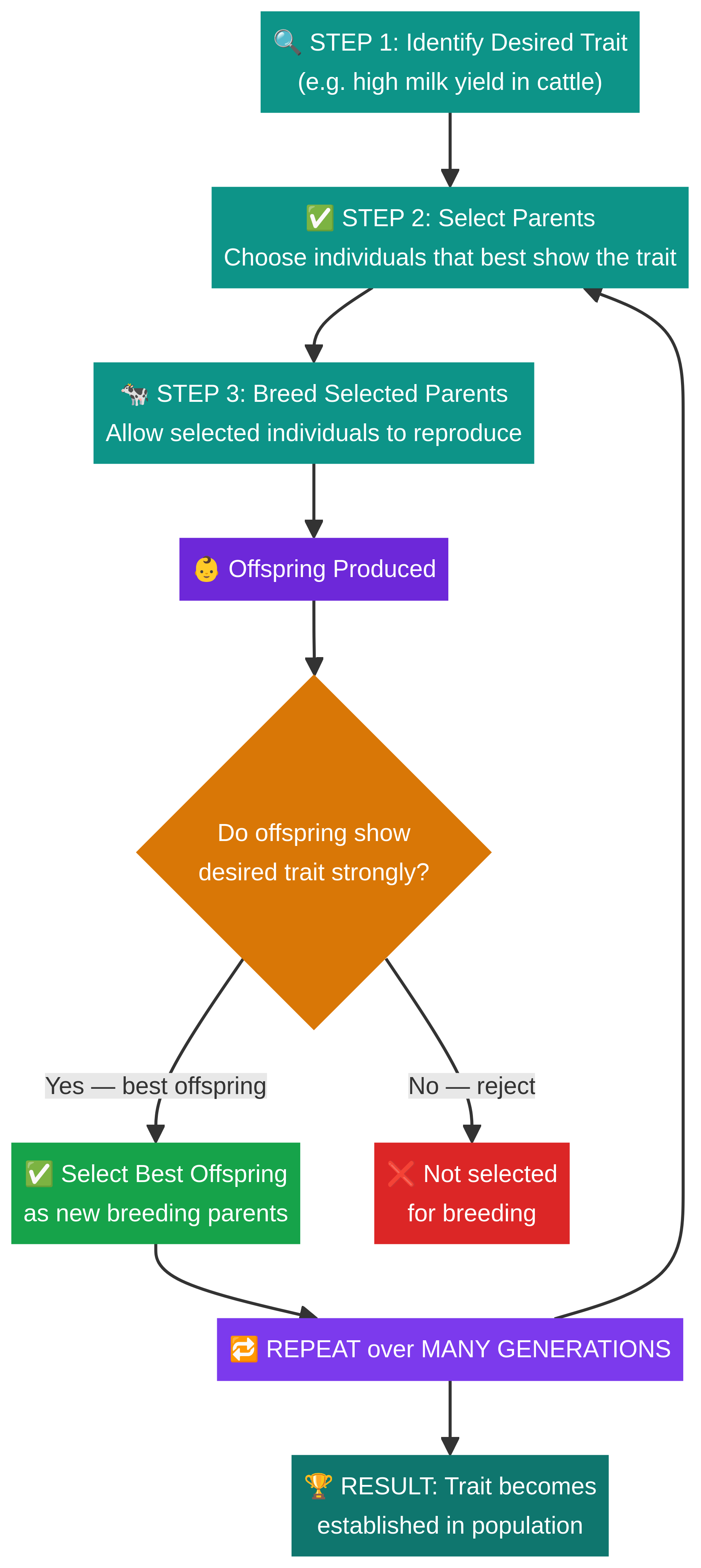 Flowchart of the selective breeding process.