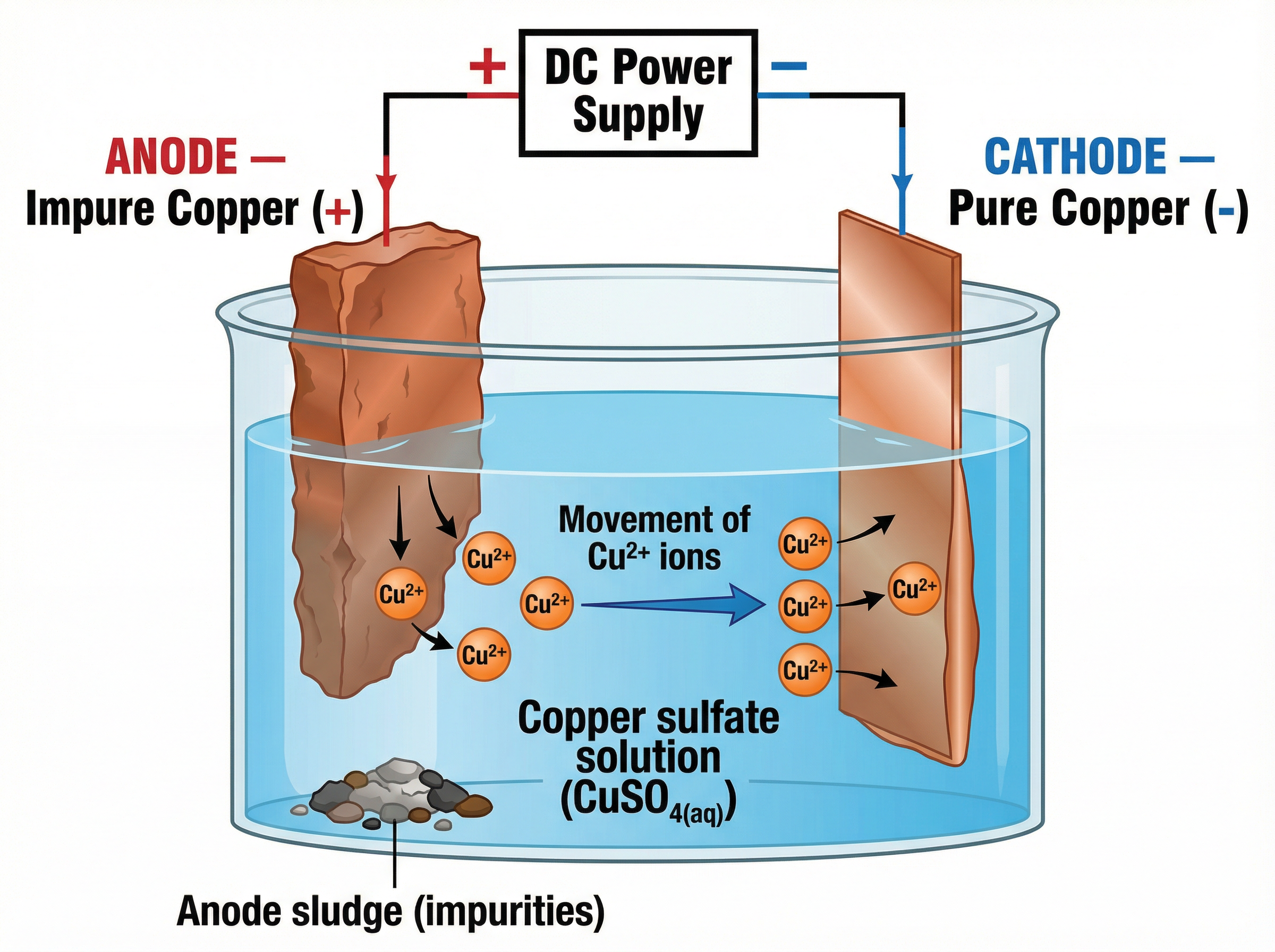 The purification of copper using electrolysis