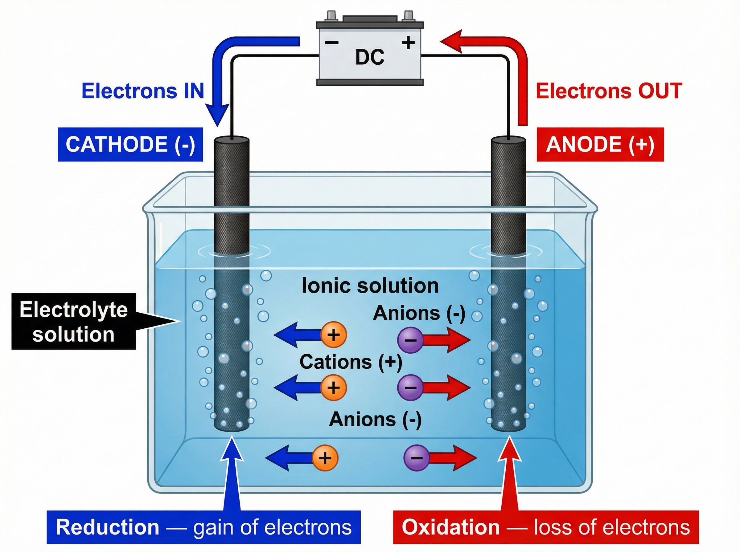 A standard electrolysis cell setup