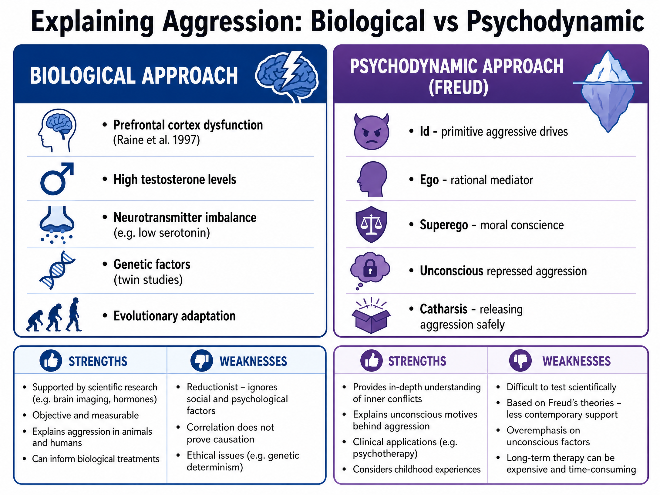 Explaining Aggression: Biological vs Psychodynamic