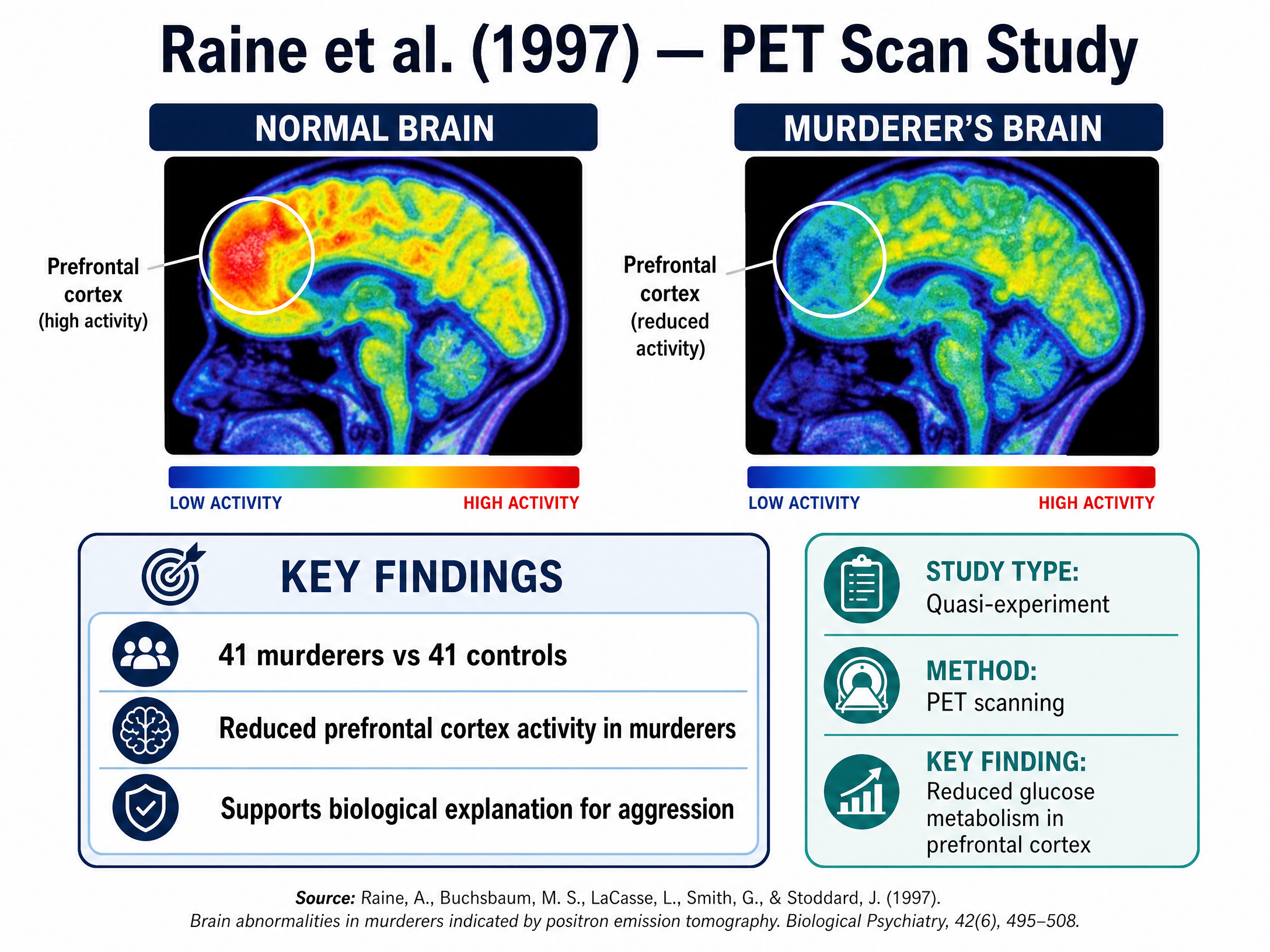 Raine et al. (1997) PET Scan Findings
