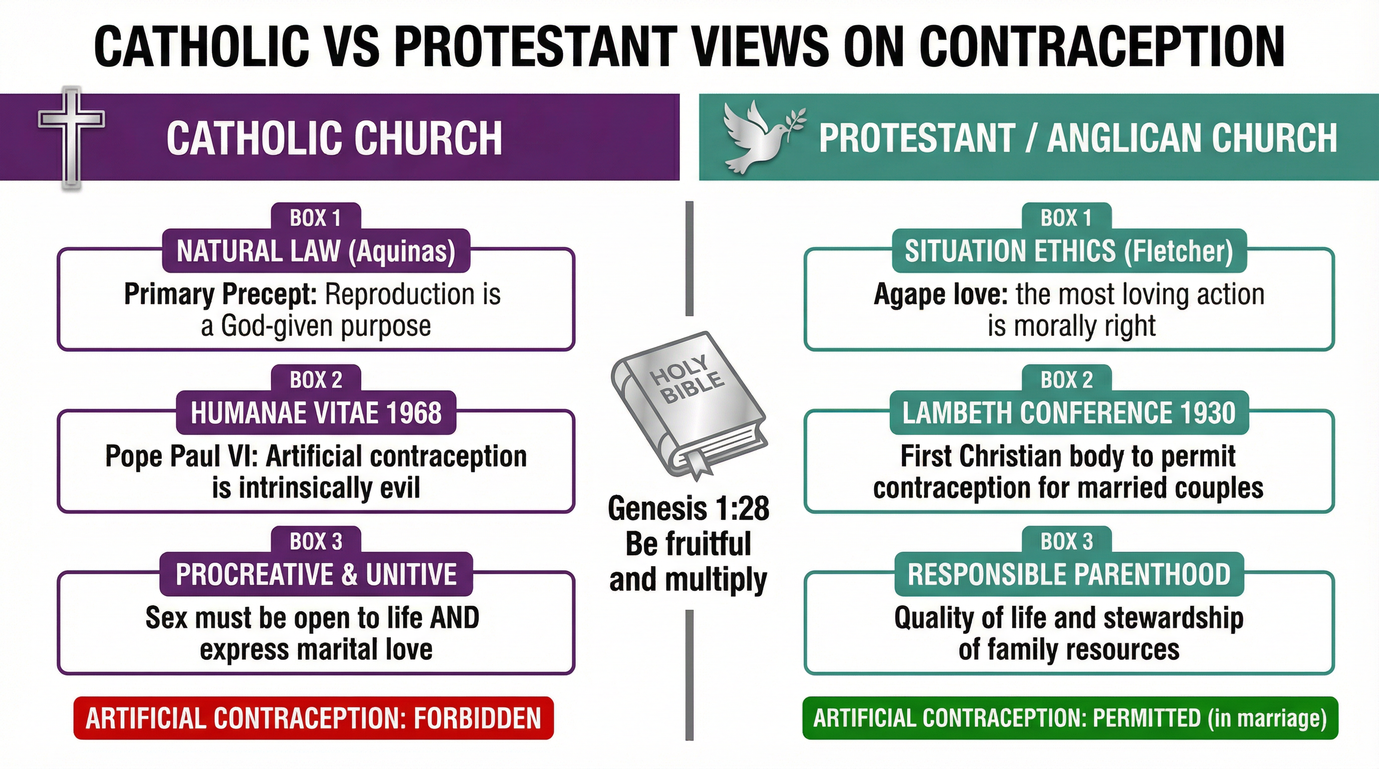 Catholic vs Protestant Views on Contraception