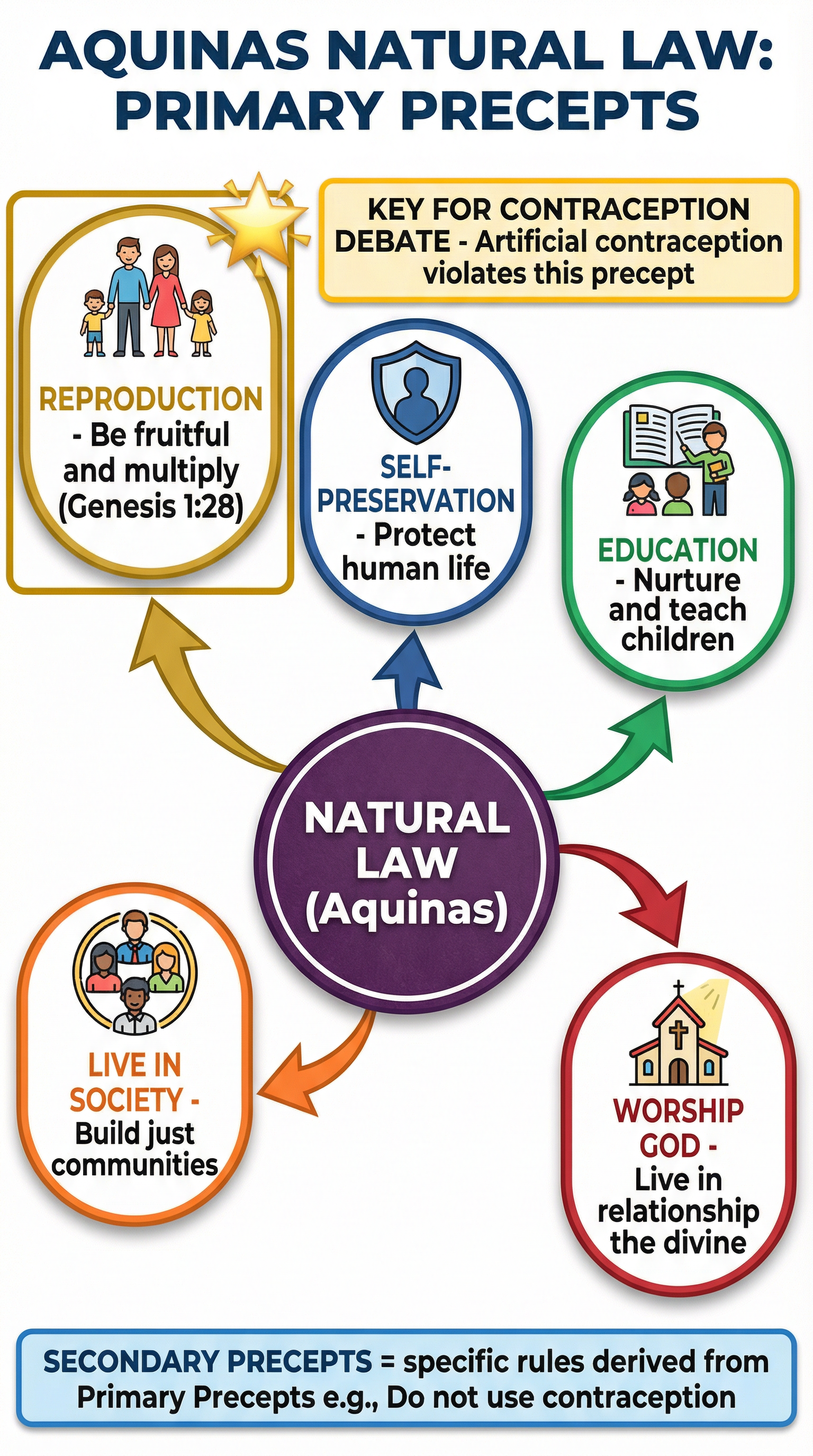 Aquinas's Natural Law: Primary Precepts