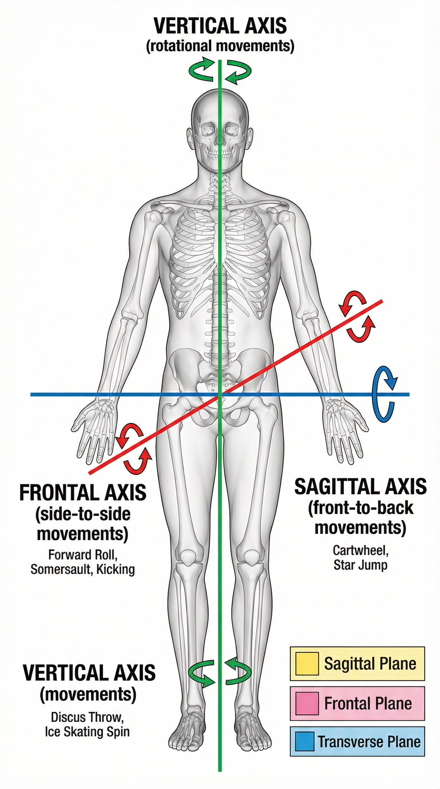 The Three Axes of Movement: Frontal, Sagittal, and Vertical.