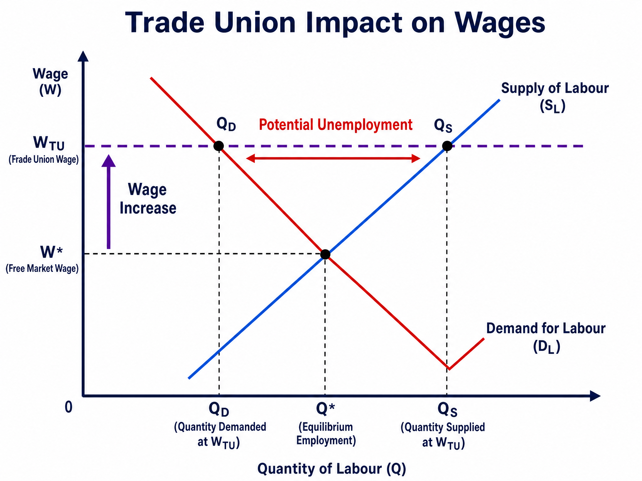 Trade Union Impact on Wages