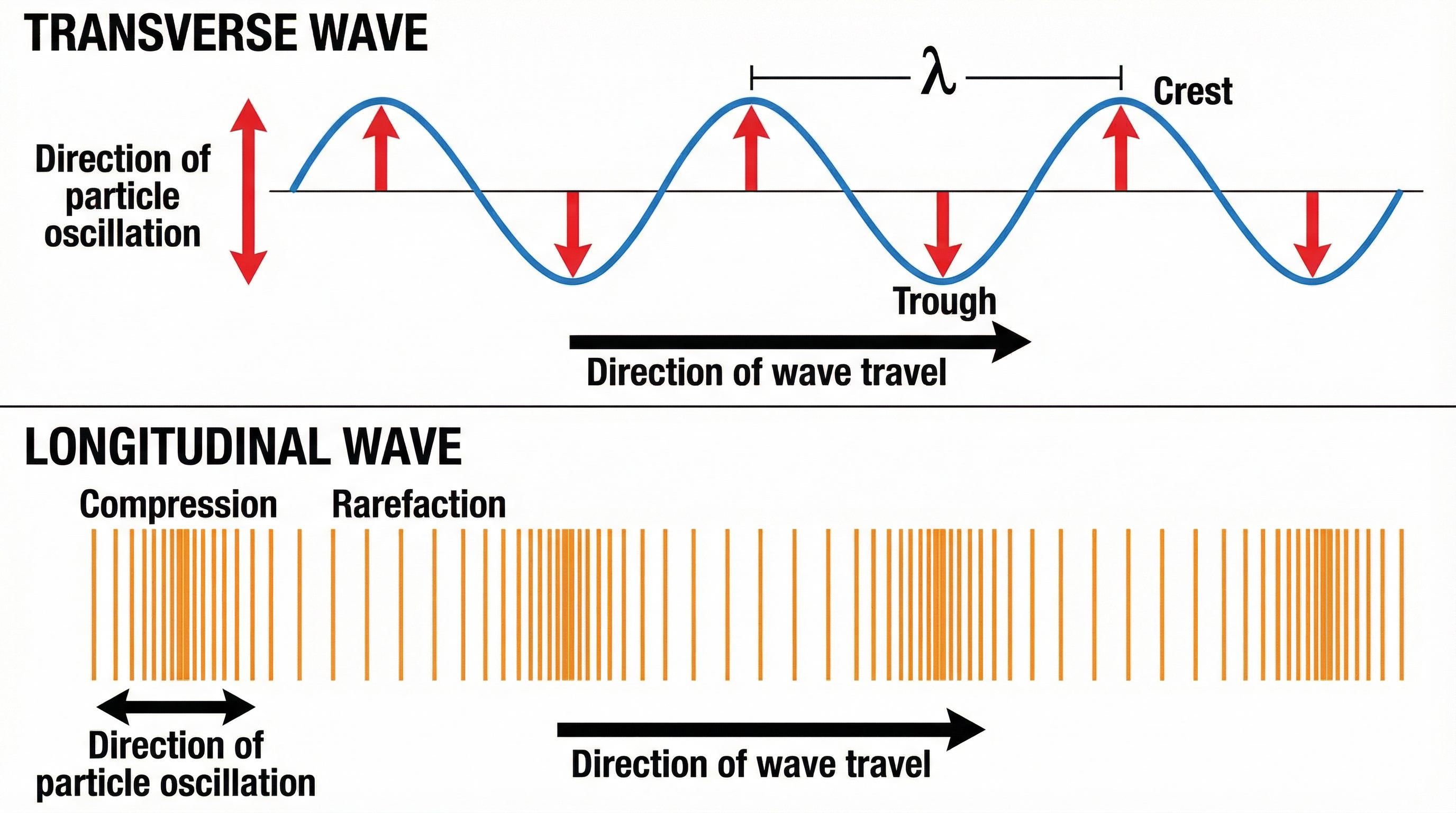 Transverse vs Longitudinal wave motion