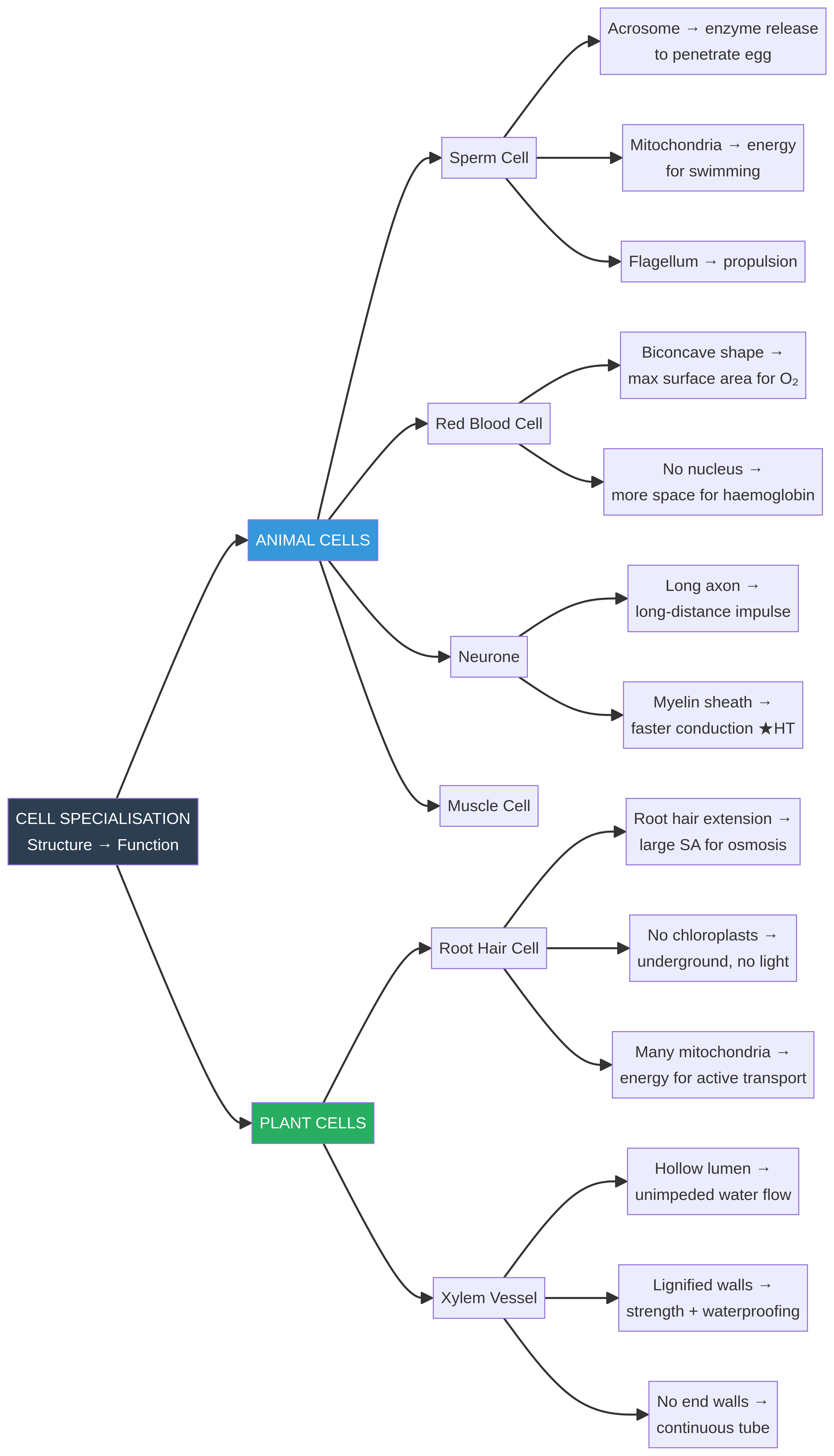Concept map of structure-function relationships.