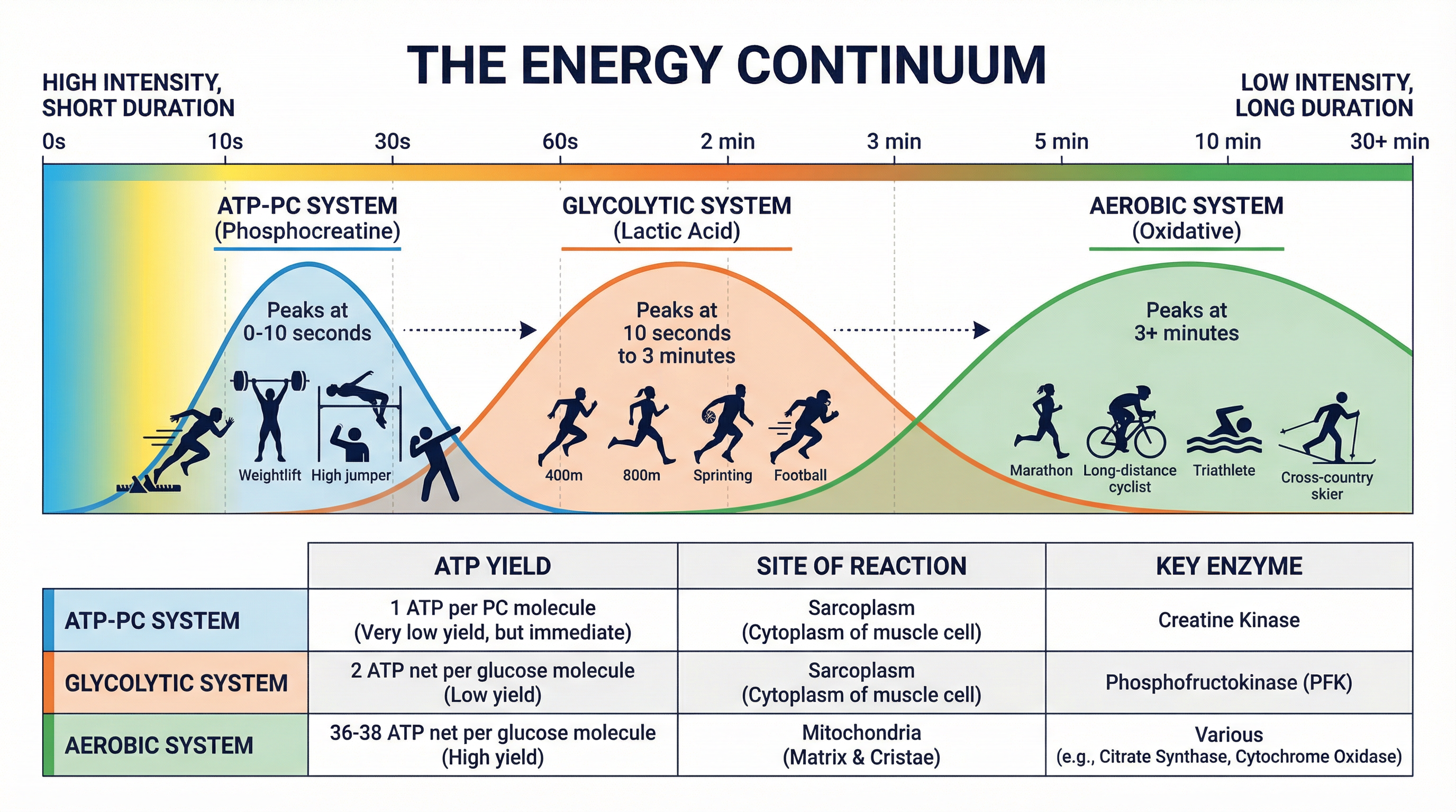 The Energy Continuum: Dominant systems by intensity and duration.